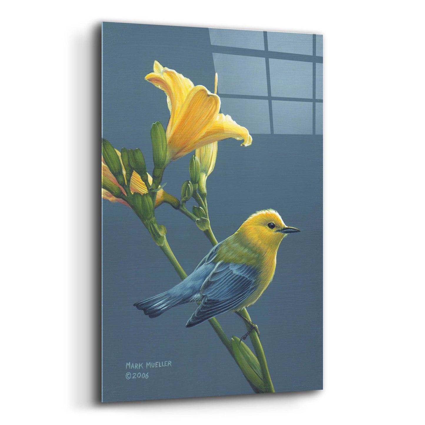 Epic Art 'Colors of Summer - Prothonotary Warbler' by Mark Mueller Wildlife Art, Acrylic Glass Wall Art,12x16