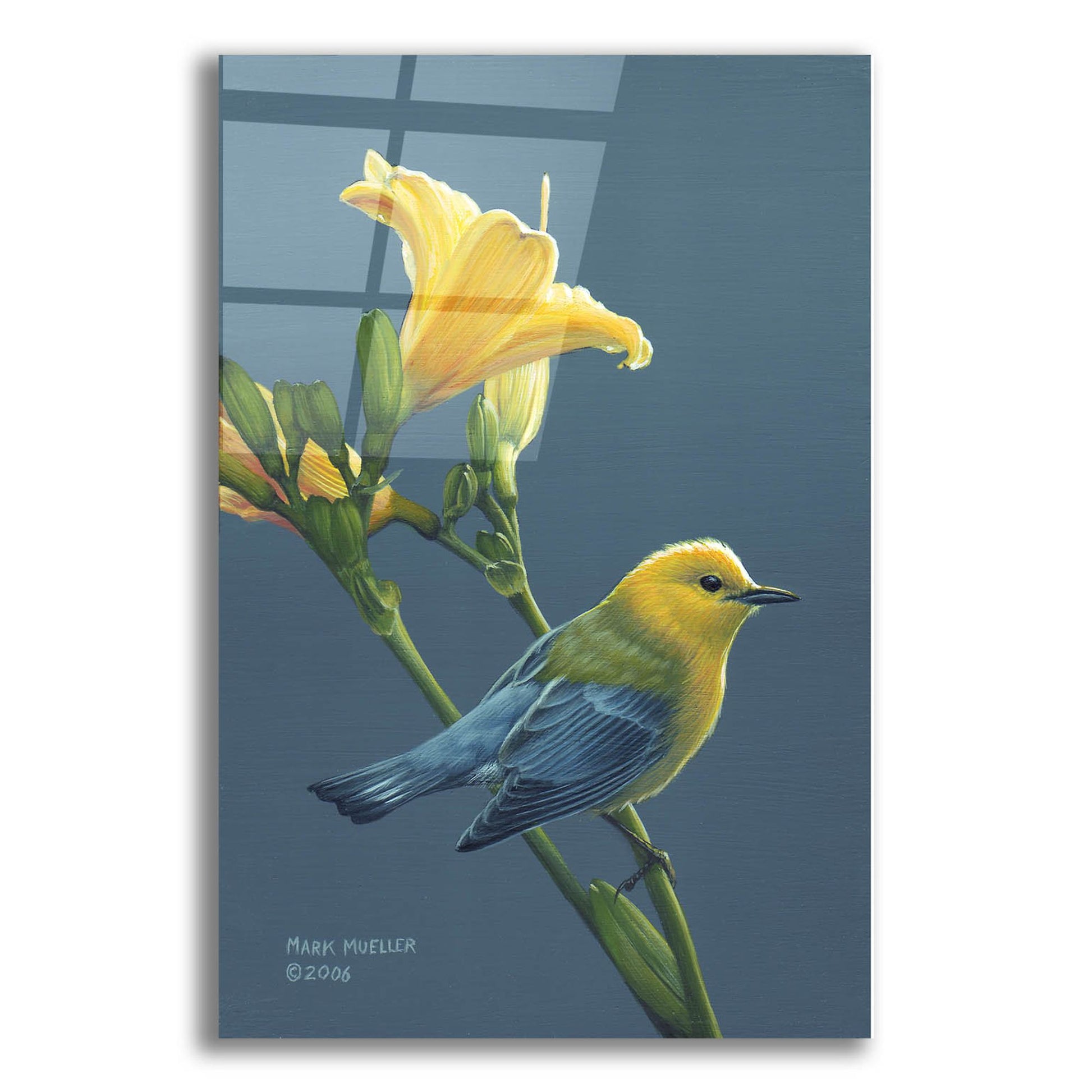 Epic Art 'Colors of Summer - Prothonotary Warbler' by Mark Mueller Wildlife Art, Acrylic Glass Wall Art,12x16