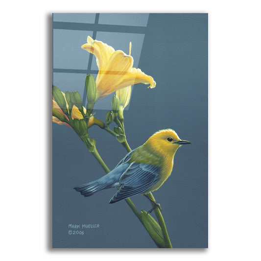 Epic Art 'Colors of Summer - Prothonotary Warbler' by Mark Mueller Wildlife Art, Acrylic Glass Wall Art