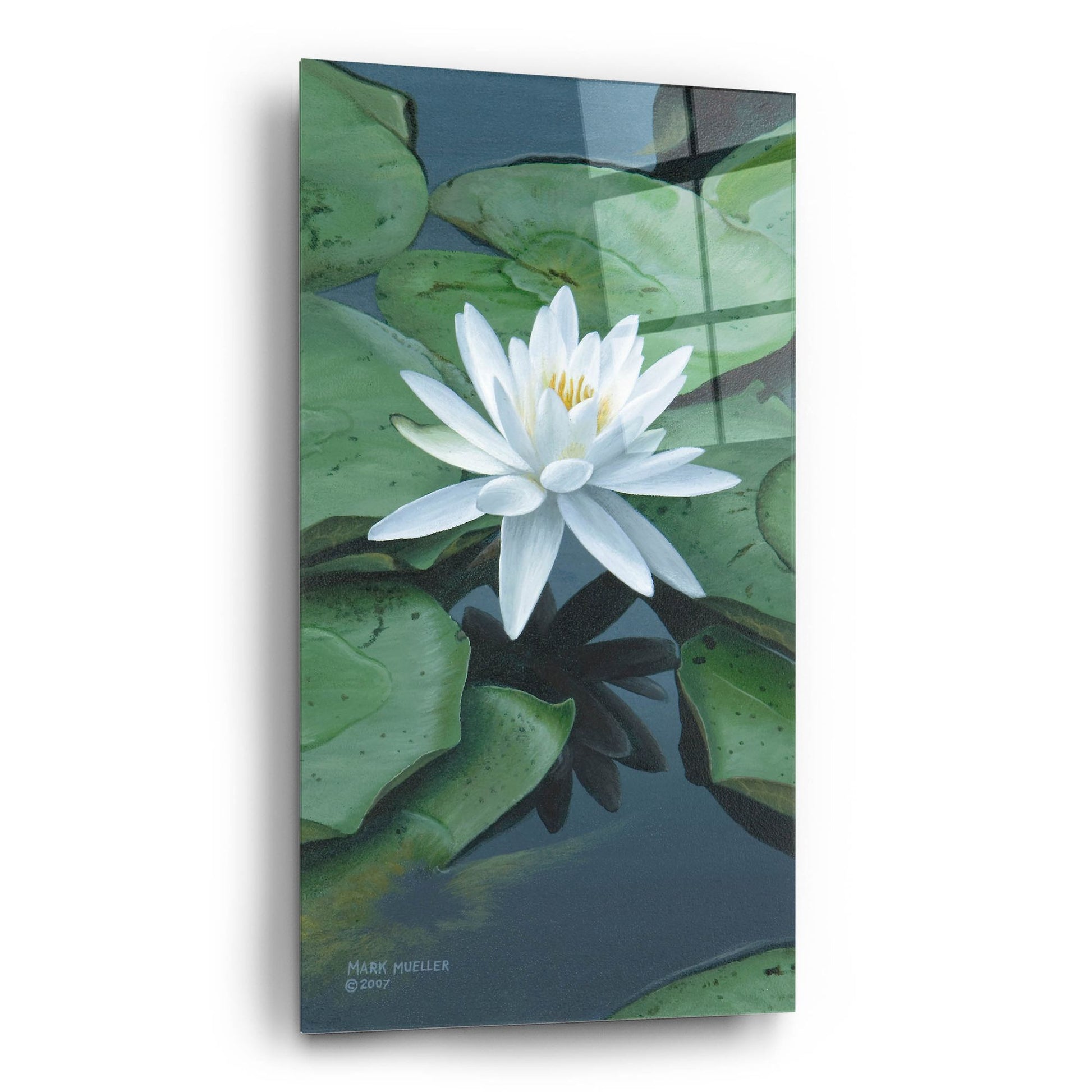 Epic Art 'Early to Rise - Water Lily' by Mark Mueller Wildlife Art, Acrylic Glass Wall Art,12x24