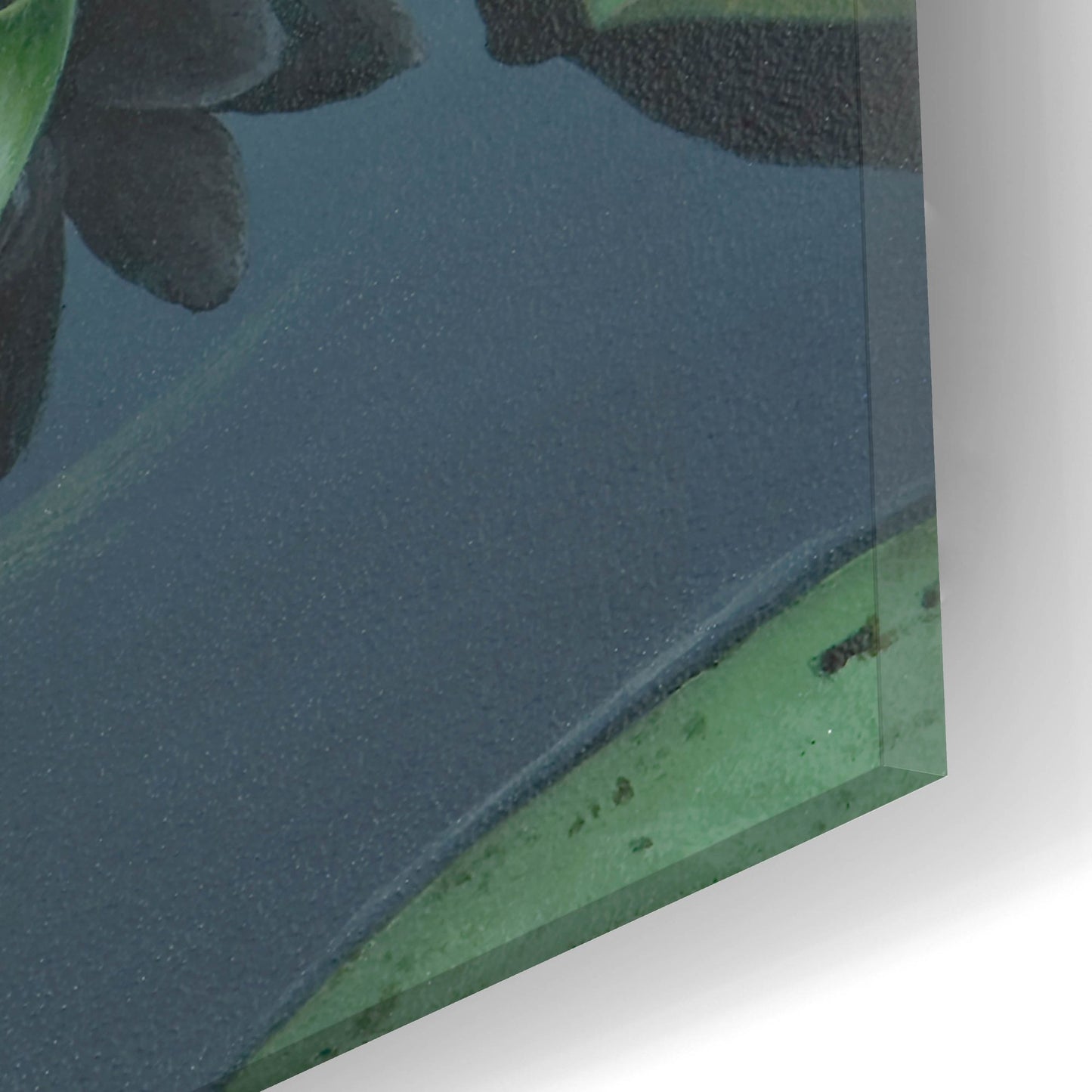 Epic Art 'Early to Rise - Water Lily' by Mark Mueller Wildlife Art, Acrylic Glass Wall Art,12x24