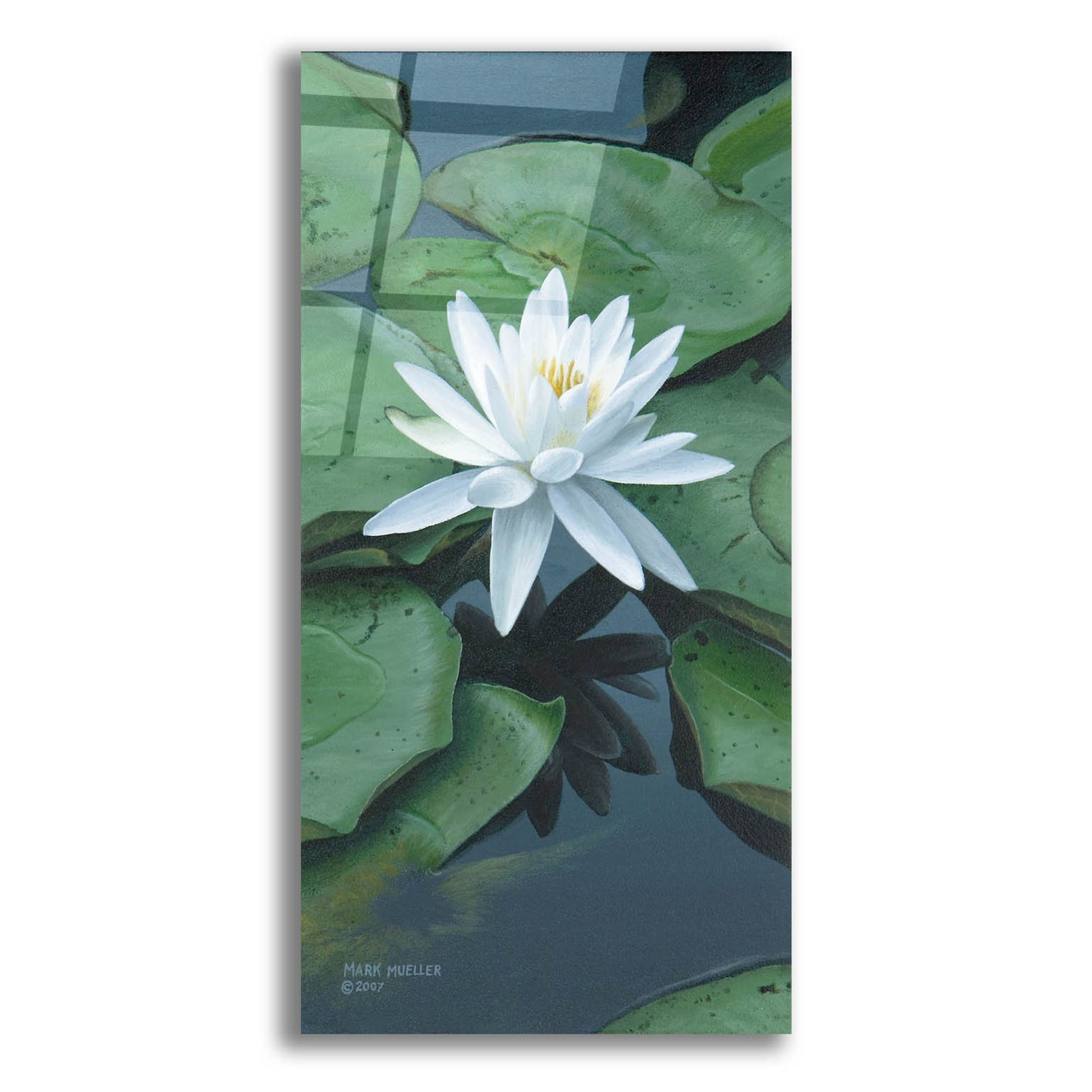 Epic Art 'Early to Rise - Water Lily' by Mark Mueller Wildlife Art, Acrylic Glass Wall Art,12x24