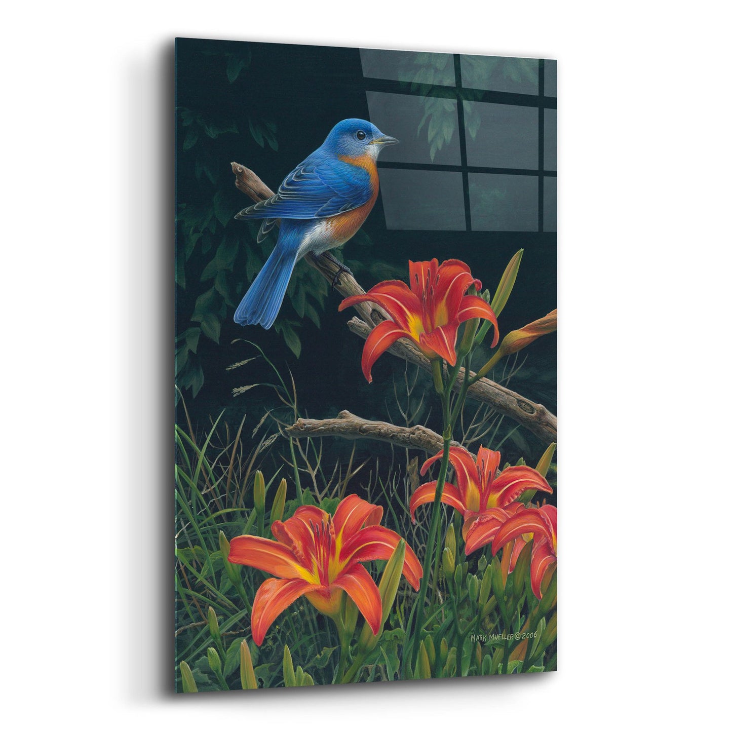 Epic Art 'Edge of the Woods - Bluebird and Daylilies' by Mark Mueller Wildlife Art, Acrylic Glass Wall Art,12x16