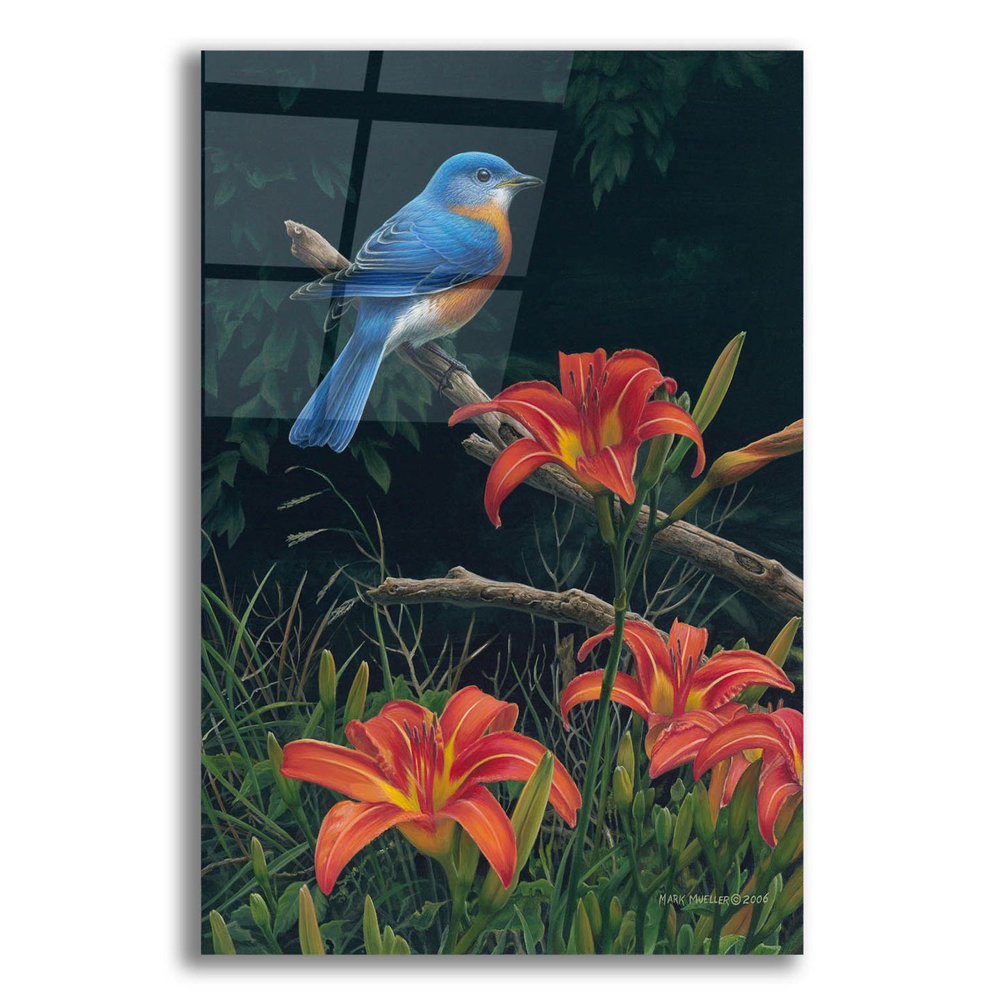 Epic Art 'Edge of the Woods - Bluebird and Daylilies' by Mark Mueller Wildlife Art, Acrylic Glass Wall Art,12x16