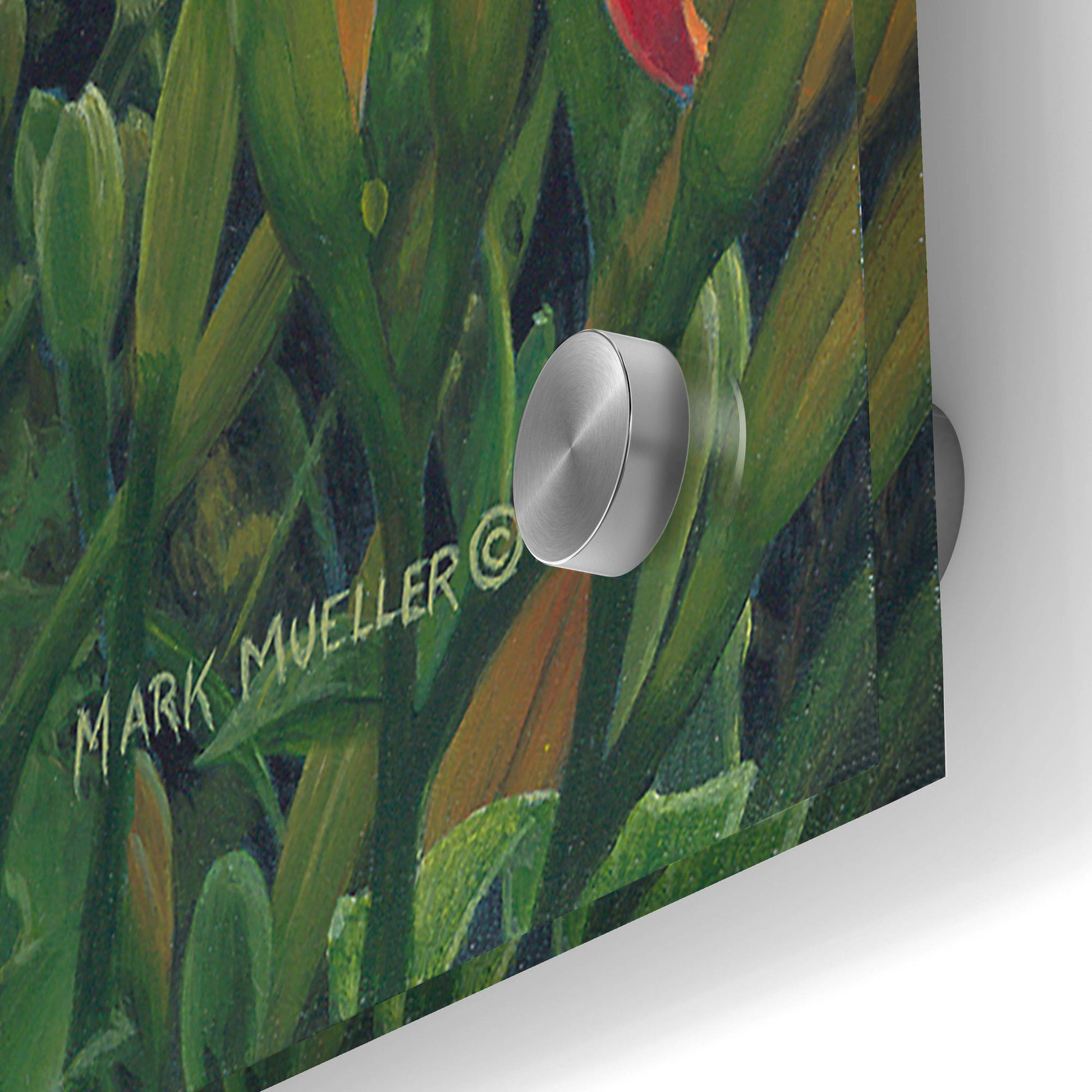 Epic Art 'Edge of the Woods - Bluebird and Daylilies' by Mark Mueller Wildlife Art, Acrylic Glass Wall Art,24x36