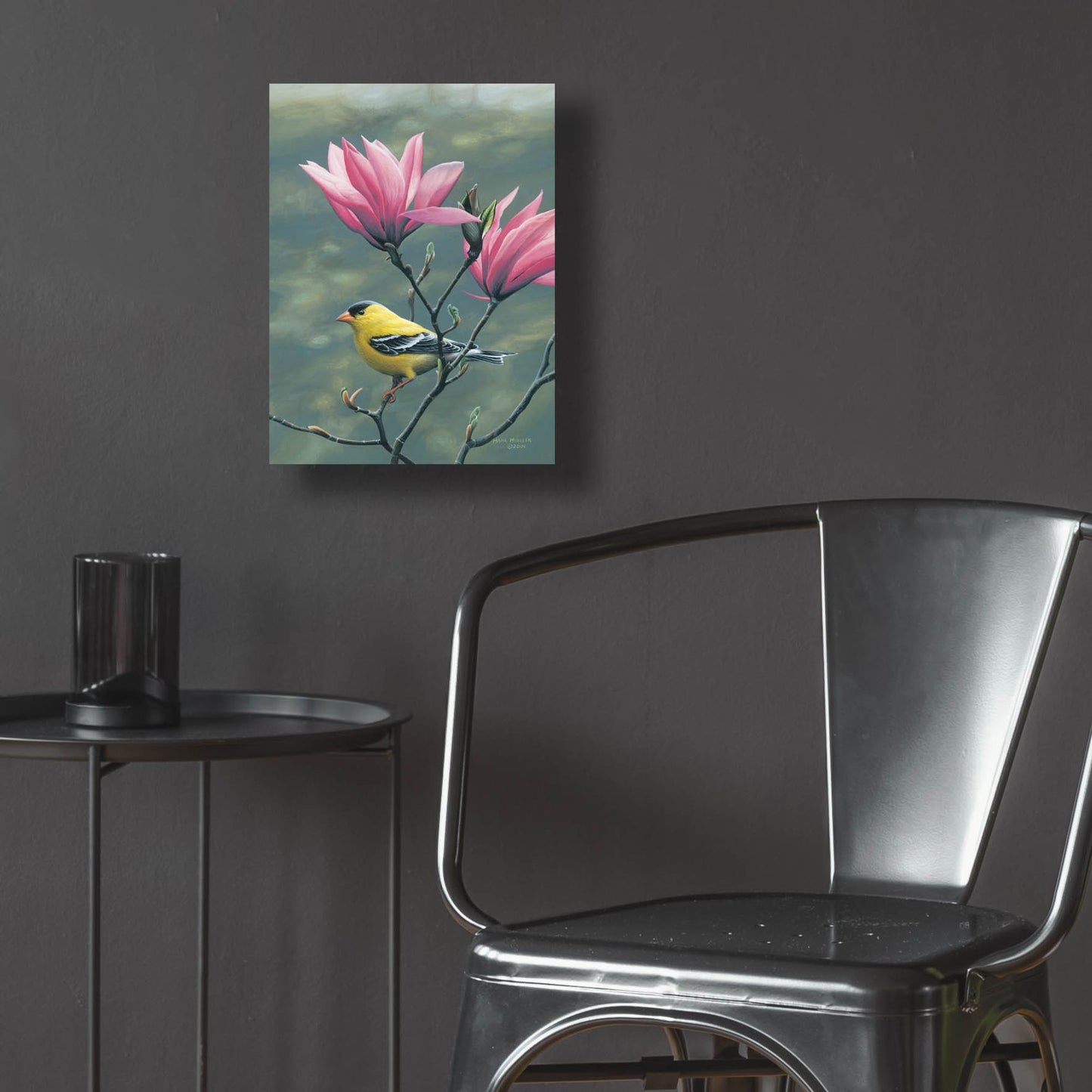 Epic Art 'Emergence - Goldfinch and Japanese Magnolia' by Mark Mueller Wildlife Art, Acrylic Glass Wall Art,12x16