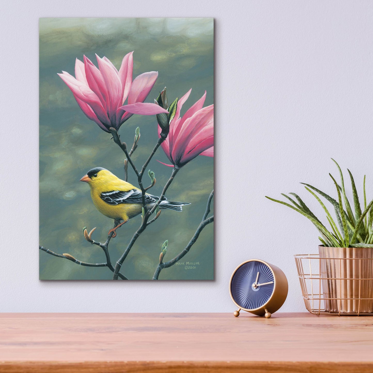 Epic Art 'Emergence - Goldfinch and Japanese Magnolia' by Mark Mueller Wildlife Art, Acrylic Glass Wall Art,12x16