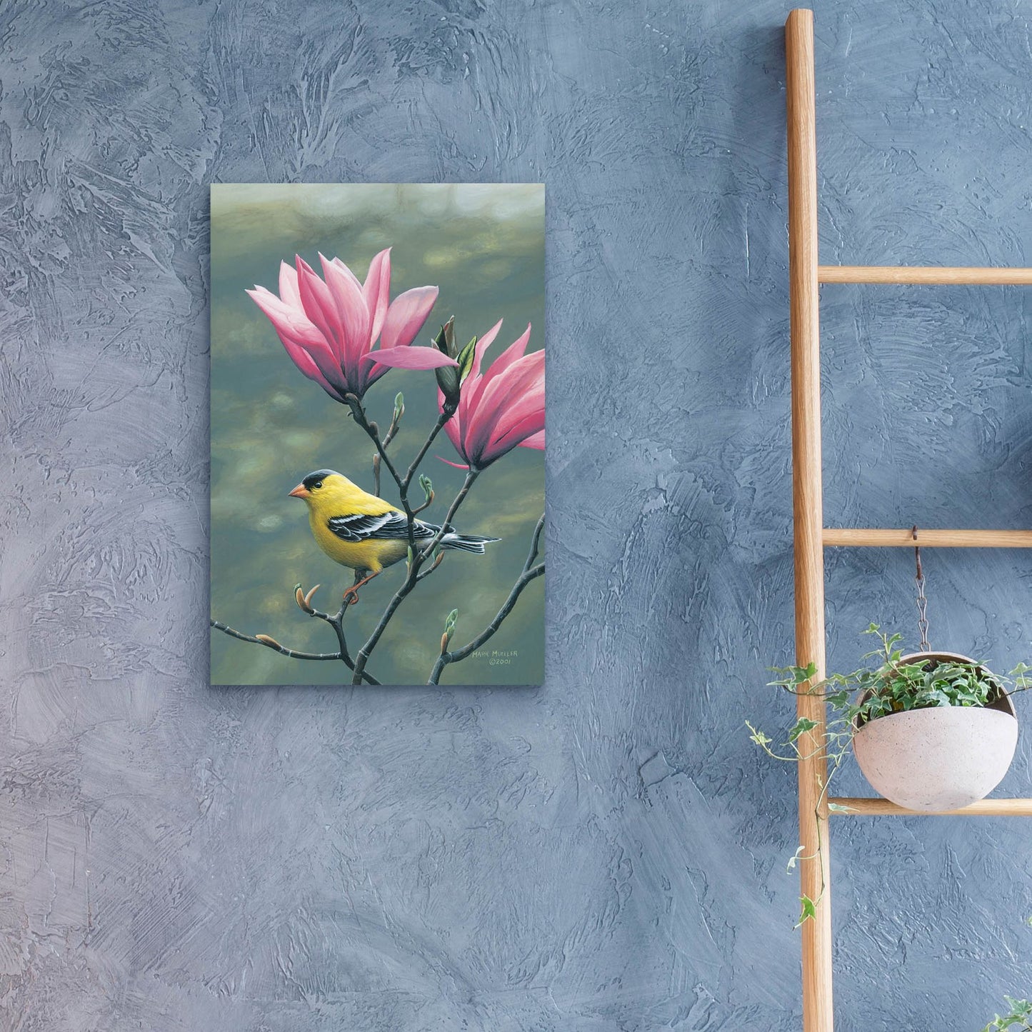 Epic Art 'Emergence - Goldfinch and Japanese Magnolia' by Mark Mueller Wildlife Art, Acrylic Glass Wall Art,16x24