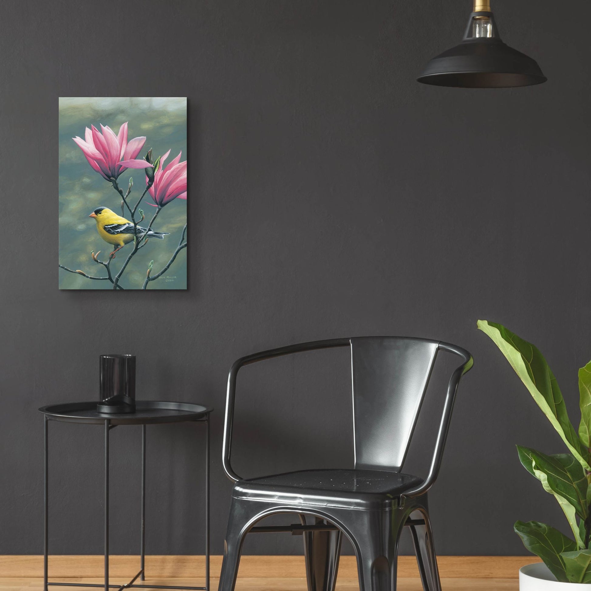 Epic Art 'Emergence - Goldfinch and Japanese Magnolia' by Mark Mueller Wildlife Art, Acrylic Glass Wall Art,16x24