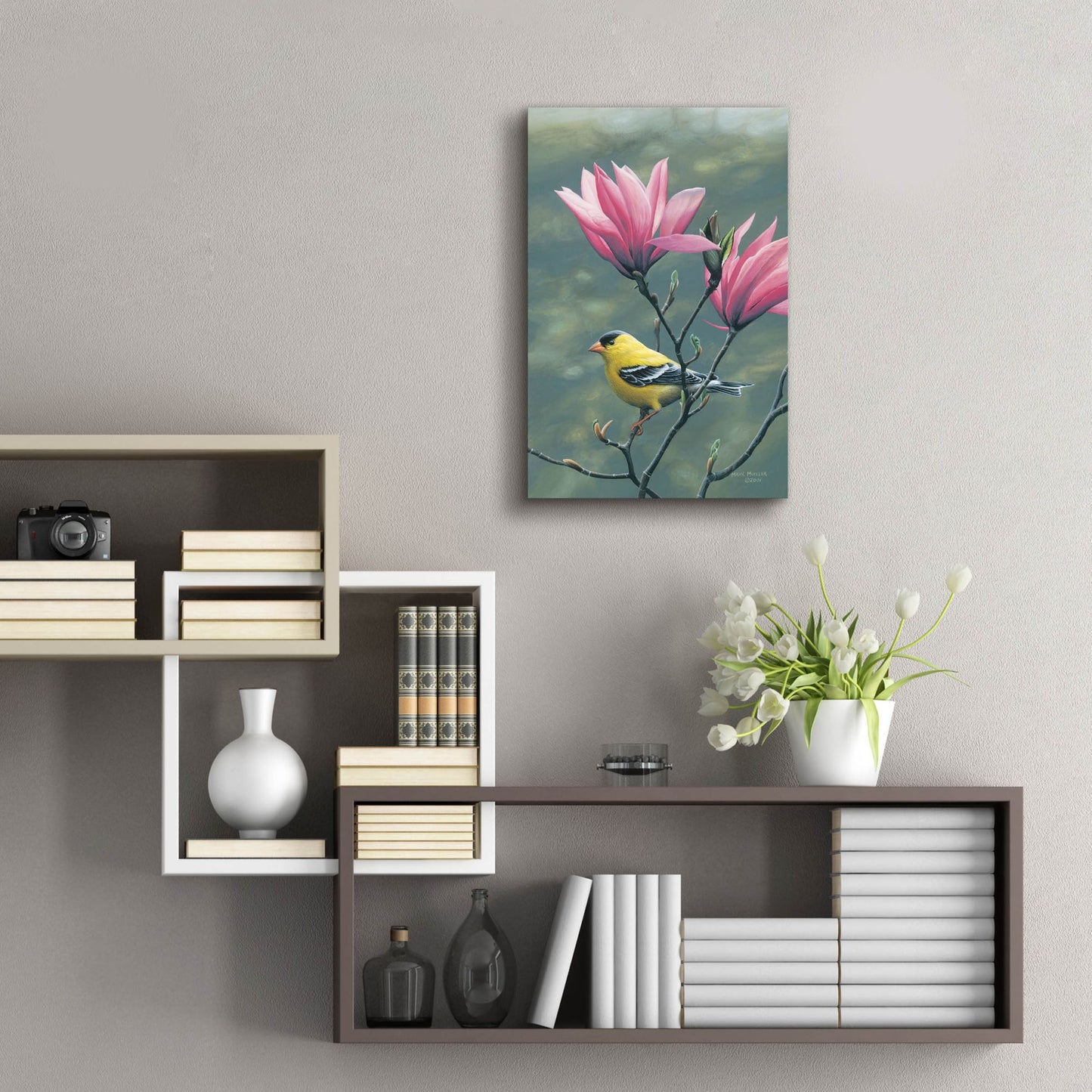 Epic Art 'Emergence - Goldfinch and Japanese Magnolia' by Mark Mueller Wildlife Art, Acrylic Glass Wall Art,16x24