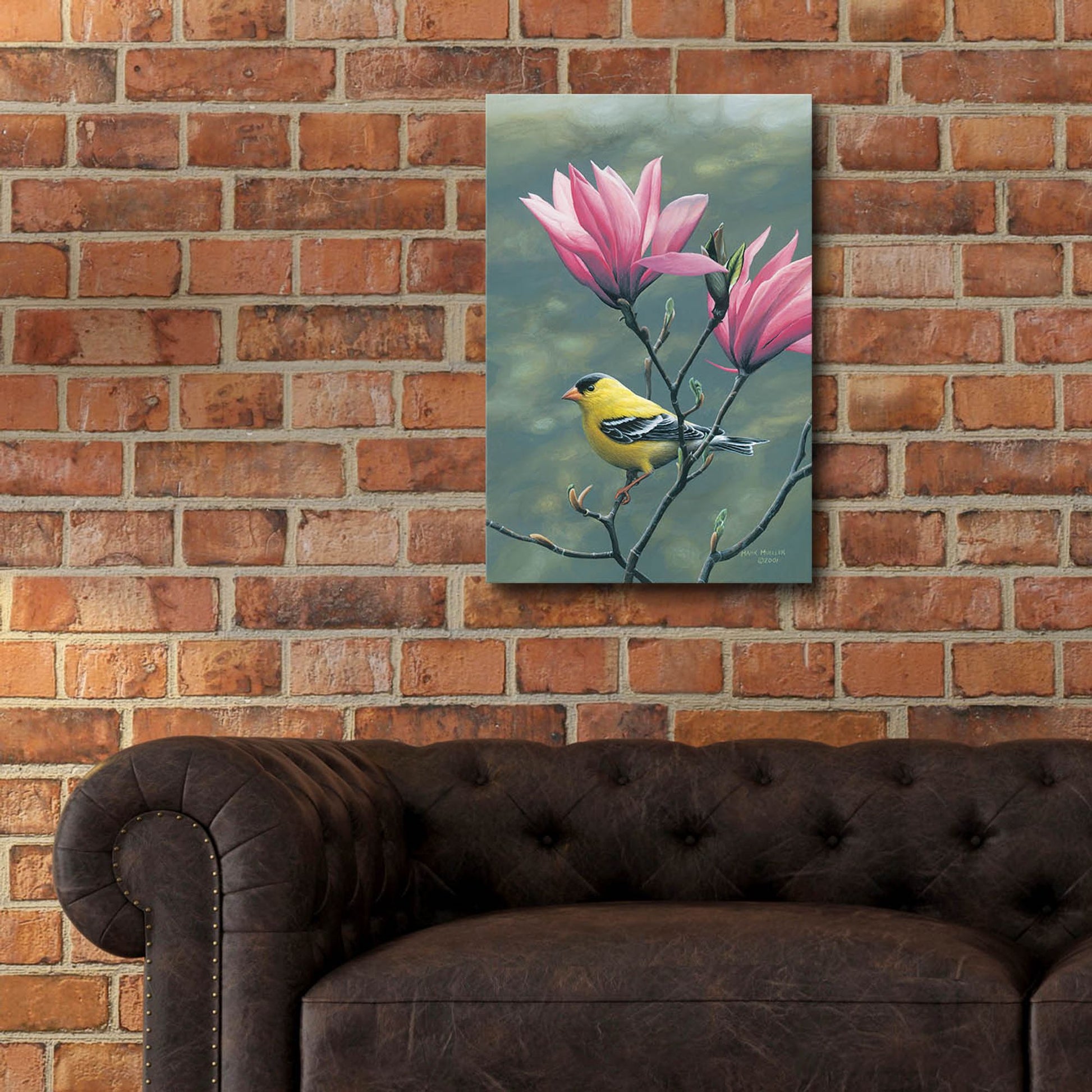 Epic Art 'Emergence - Goldfinch and Japanese Magnolia' by Mark Mueller Wildlife Art, Acrylic Glass Wall Art,16x24