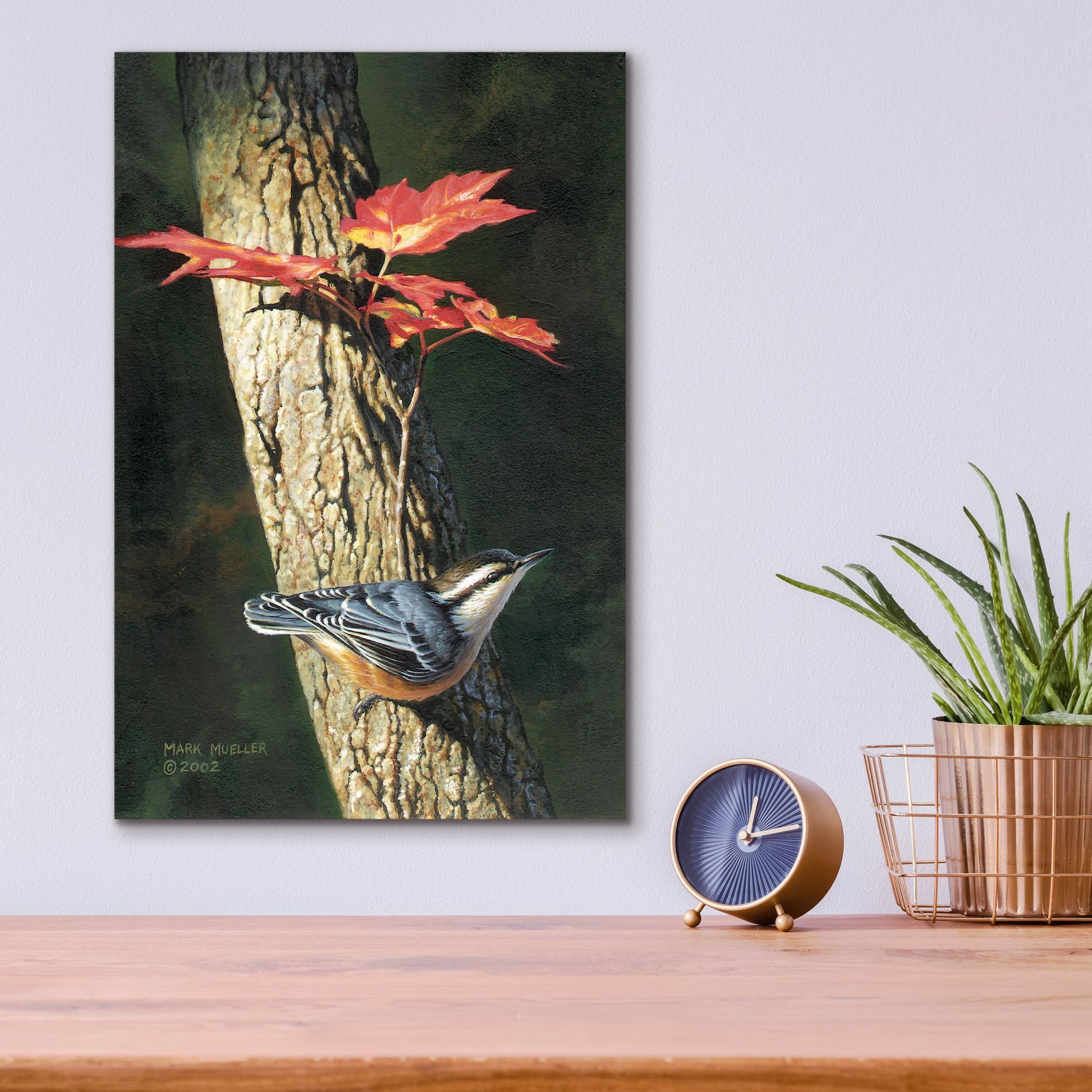 Epic Art 'Fall - Red-breasted Nuthatch' by Mark Mueller Wildlife Art, Acrylic Glass Wall Art,12x16