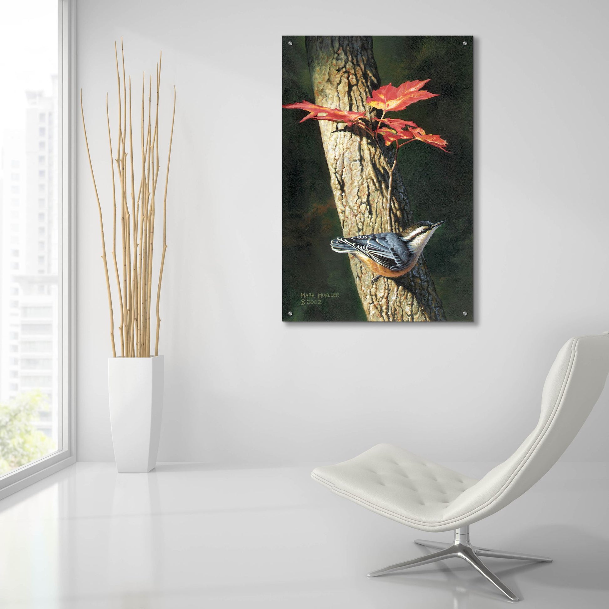 Epic Art 'Fall - Red-breasted Nuthatch' by Mark Mueller Wildlife Art, Acrylic Glass Wall Art,24x36