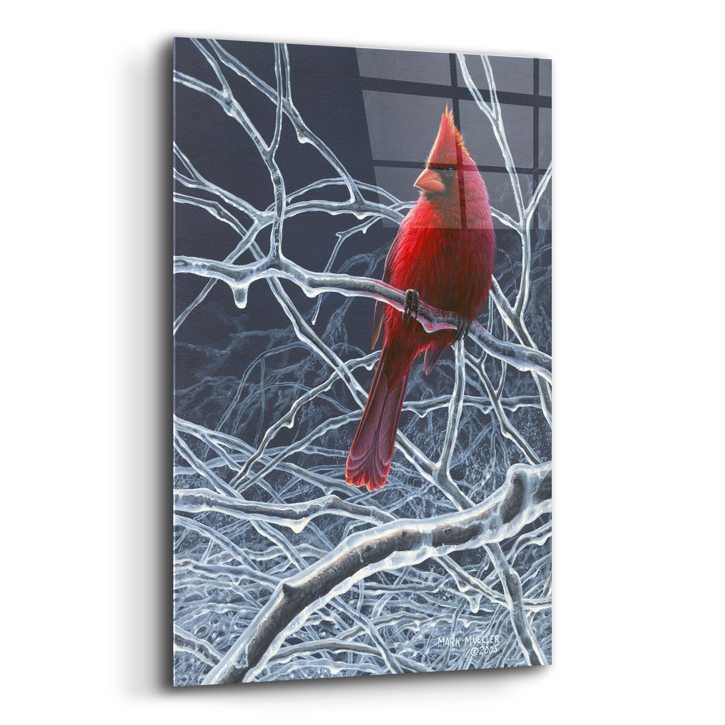 Epic Art 'Fire and Ice - Cardinal' by Mark Mueller Wildlife Art, Acrylic Glass Wall Art,12x16