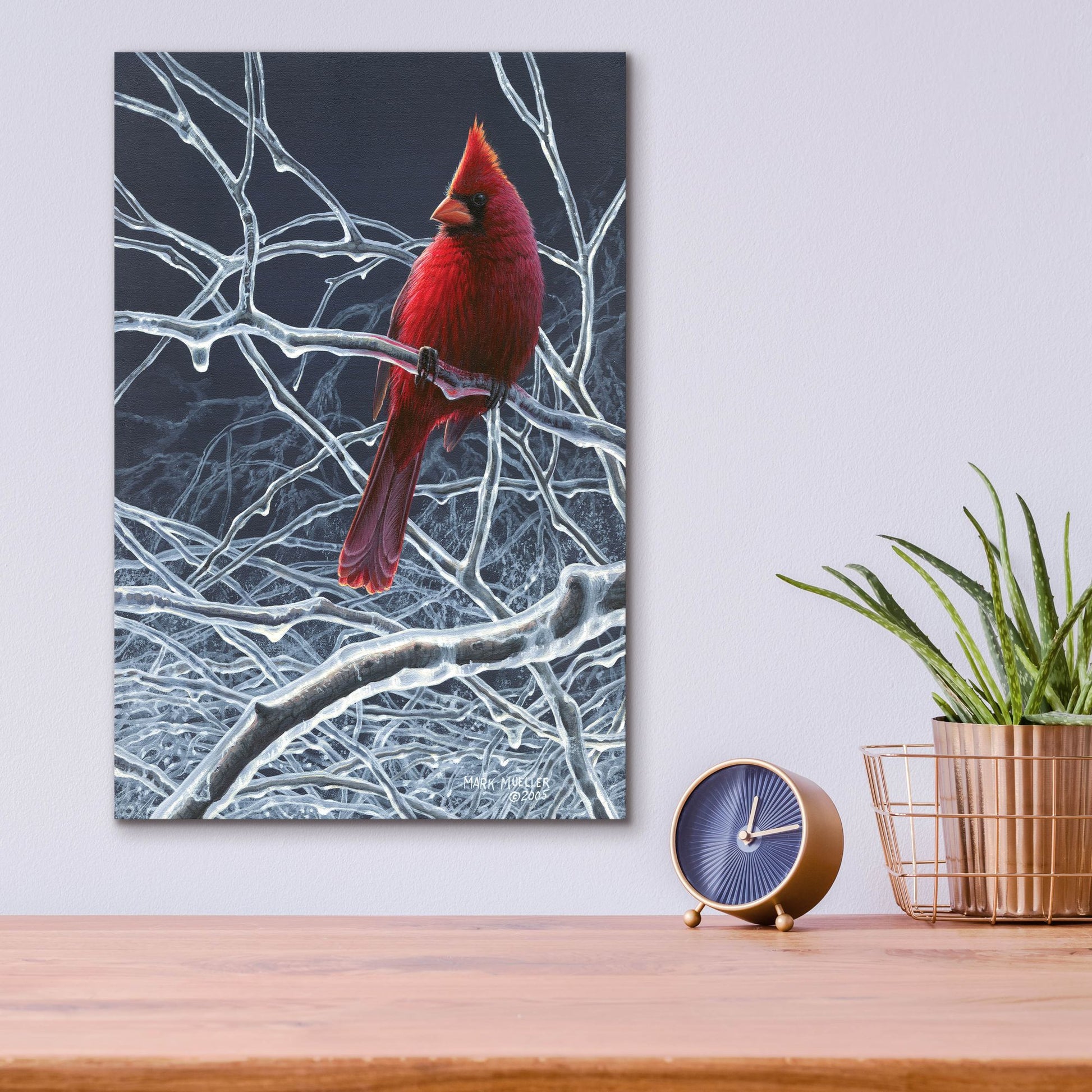 Epic Art 'Fire and Ice - Cardinal' by Mark Mueller Wildlife Art, Acrylic Glass Wall Art,12x16