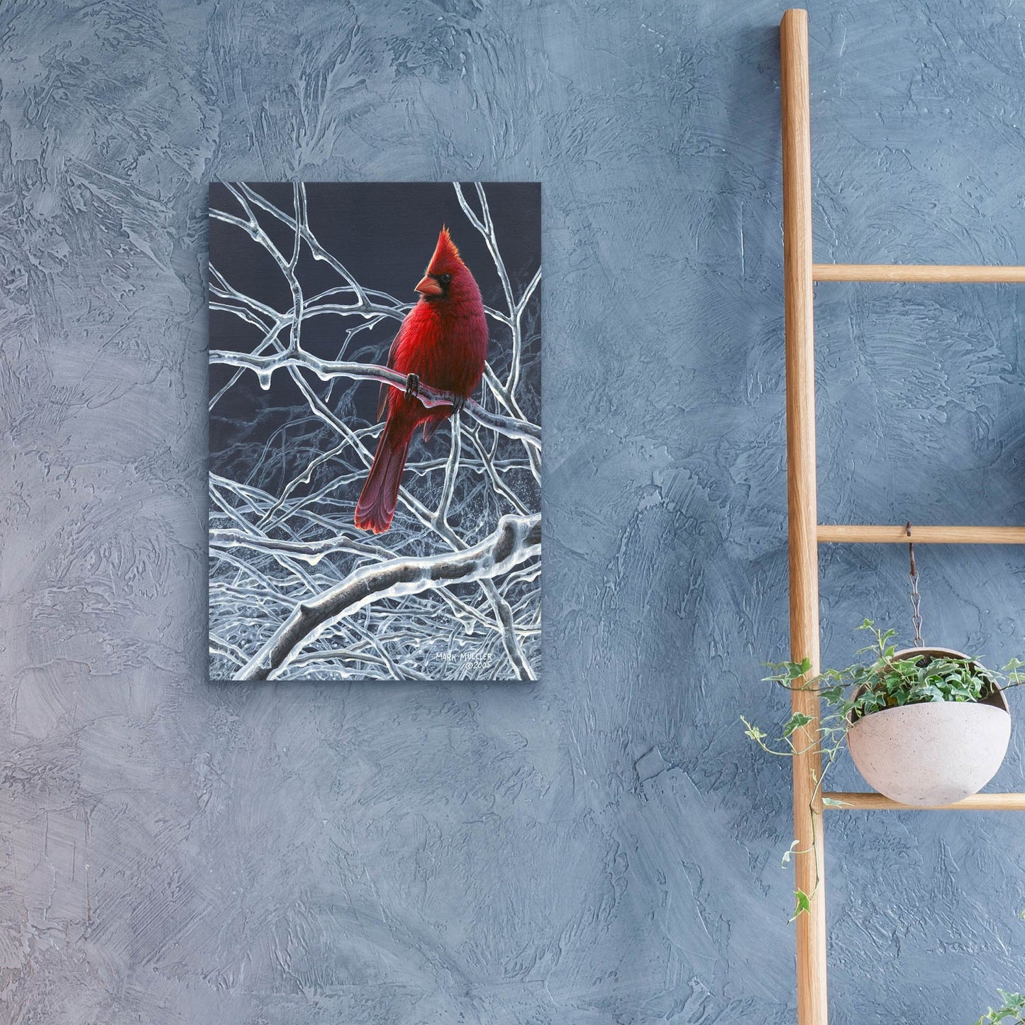 Epic Art 'Fire and Ice - Cardinal' by Mark Mueller Wildlife Art, Acrylic Glass Wall Art,16x24