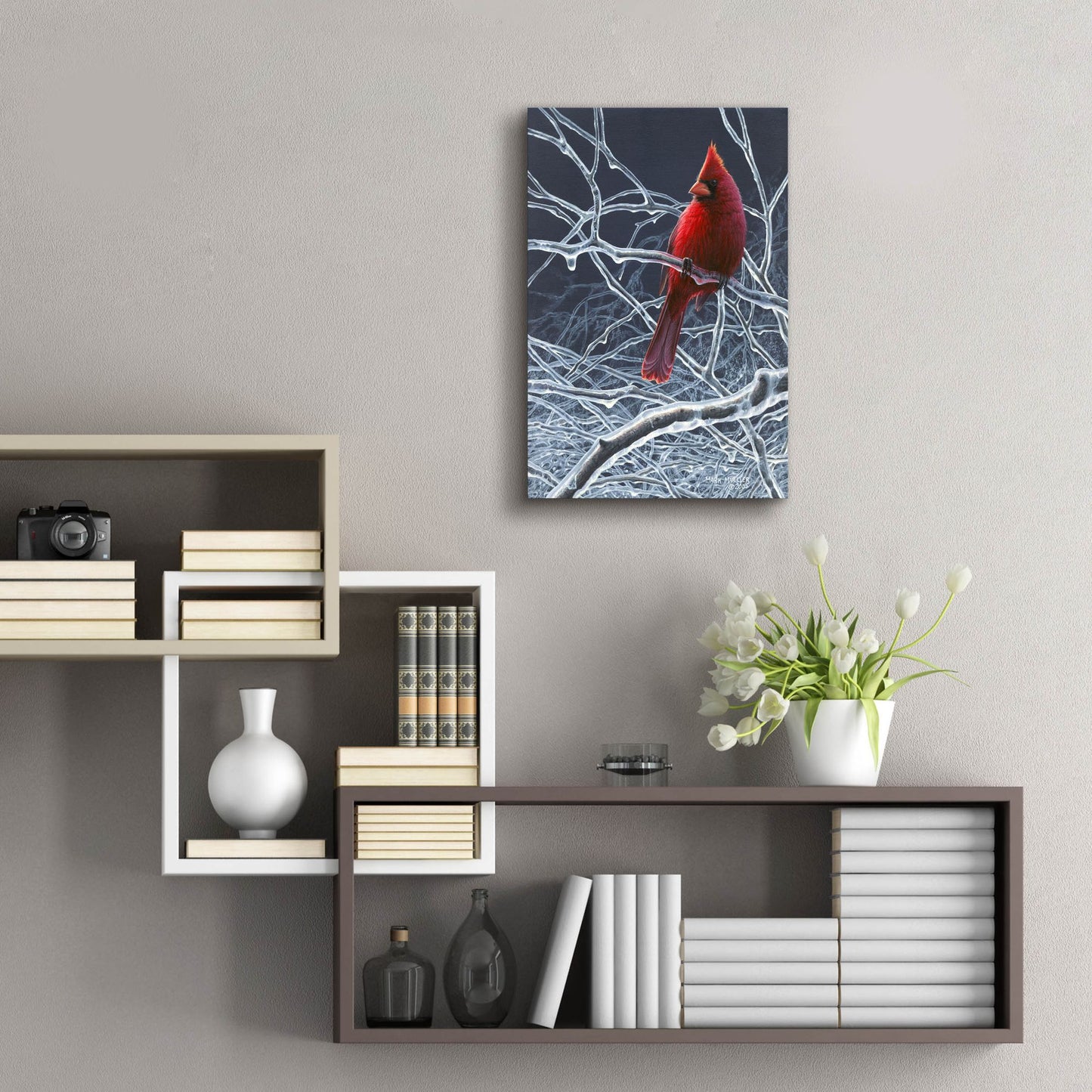 Epic Art 'Fire and Ice - Cardinal' by Mark Mueller Wildlife Art, Acrylic Glass Wall Art,16x24