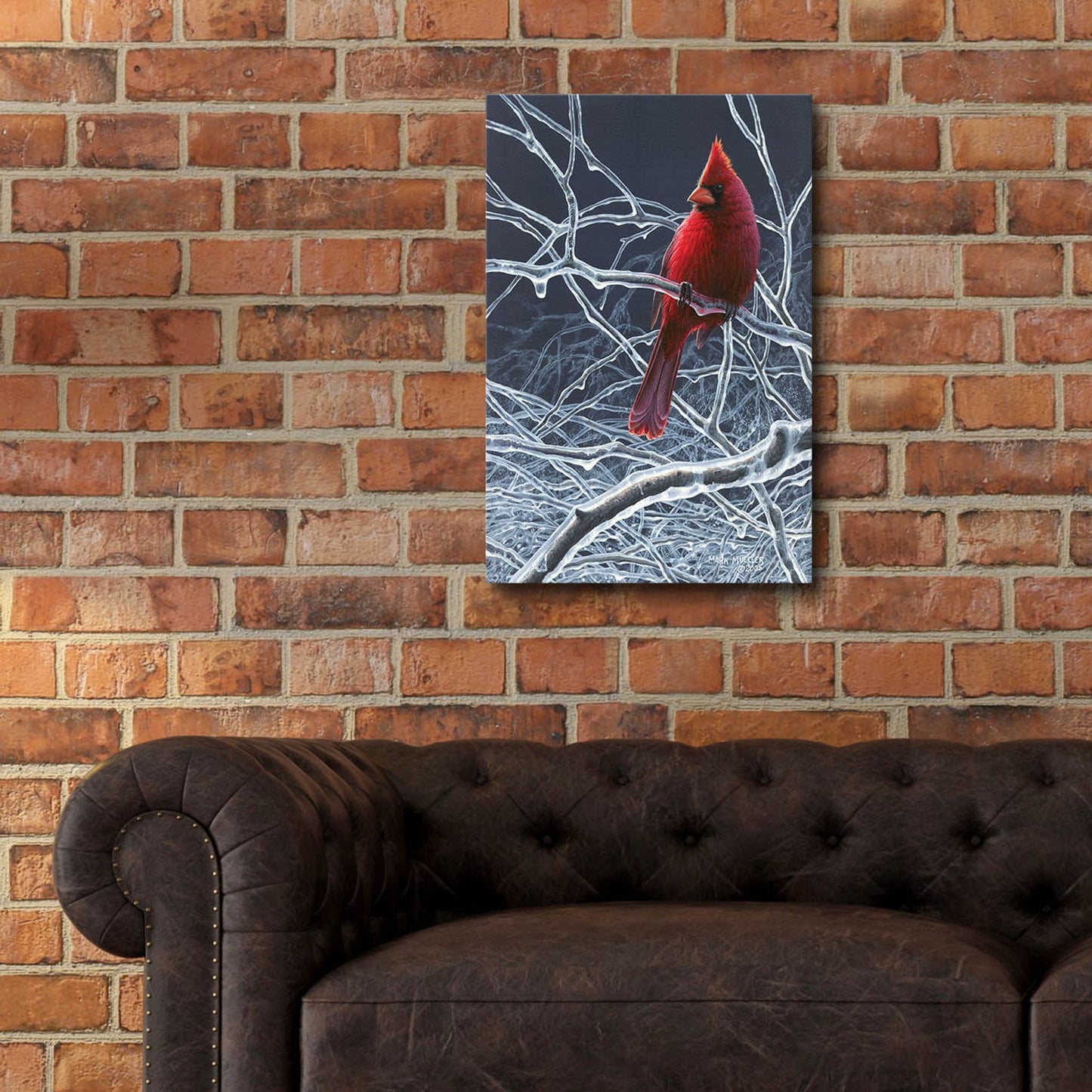 Epic Art 'Fire and Ice - Cardinal' by Mark Mueller Wildlife Art, Acrylic Glass Wall Art,16x24