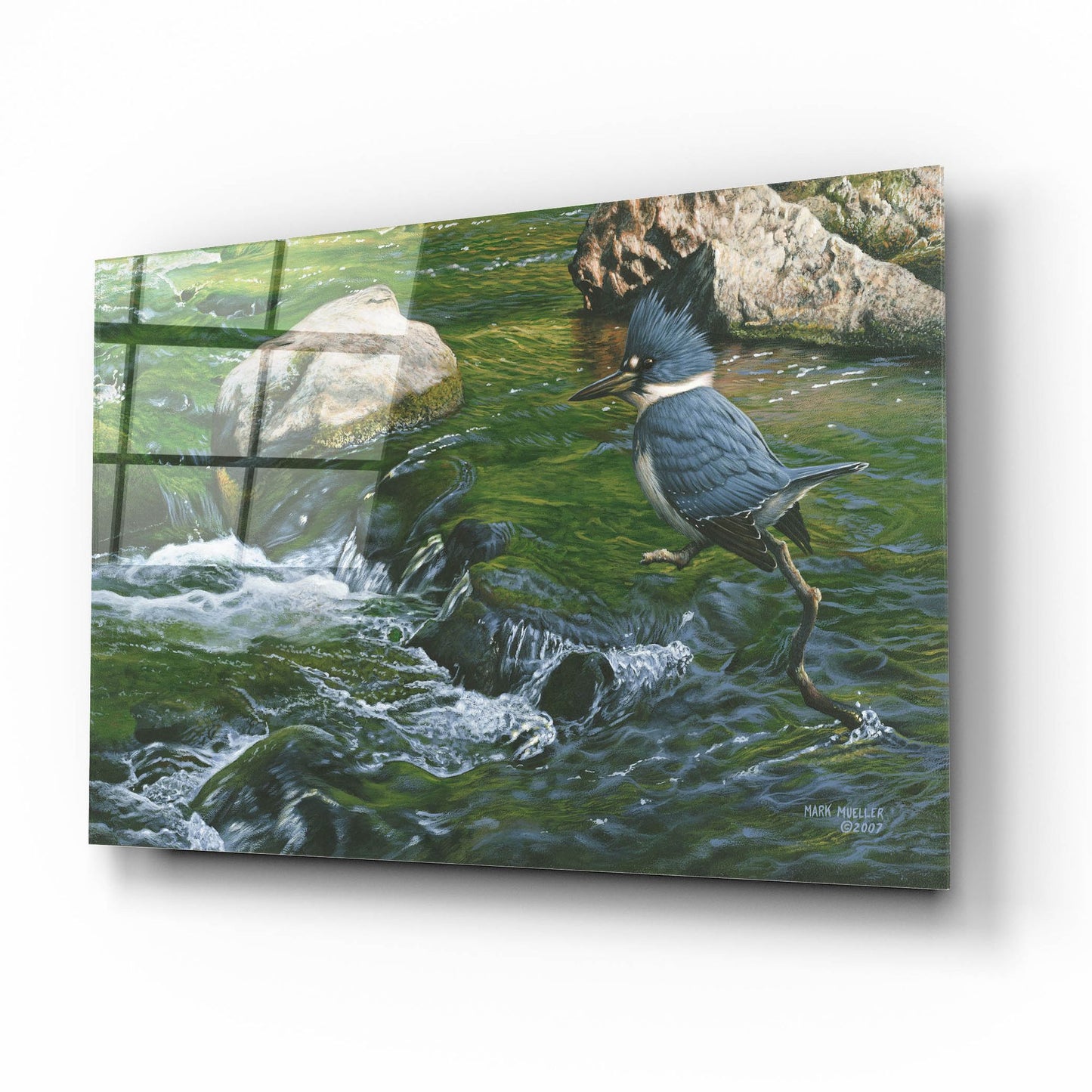 Epic Art 'Fishin' Hole - Kingfisher' by Mark Mueller Wildlife Art, Acrylic Glass Wall Art,16x12