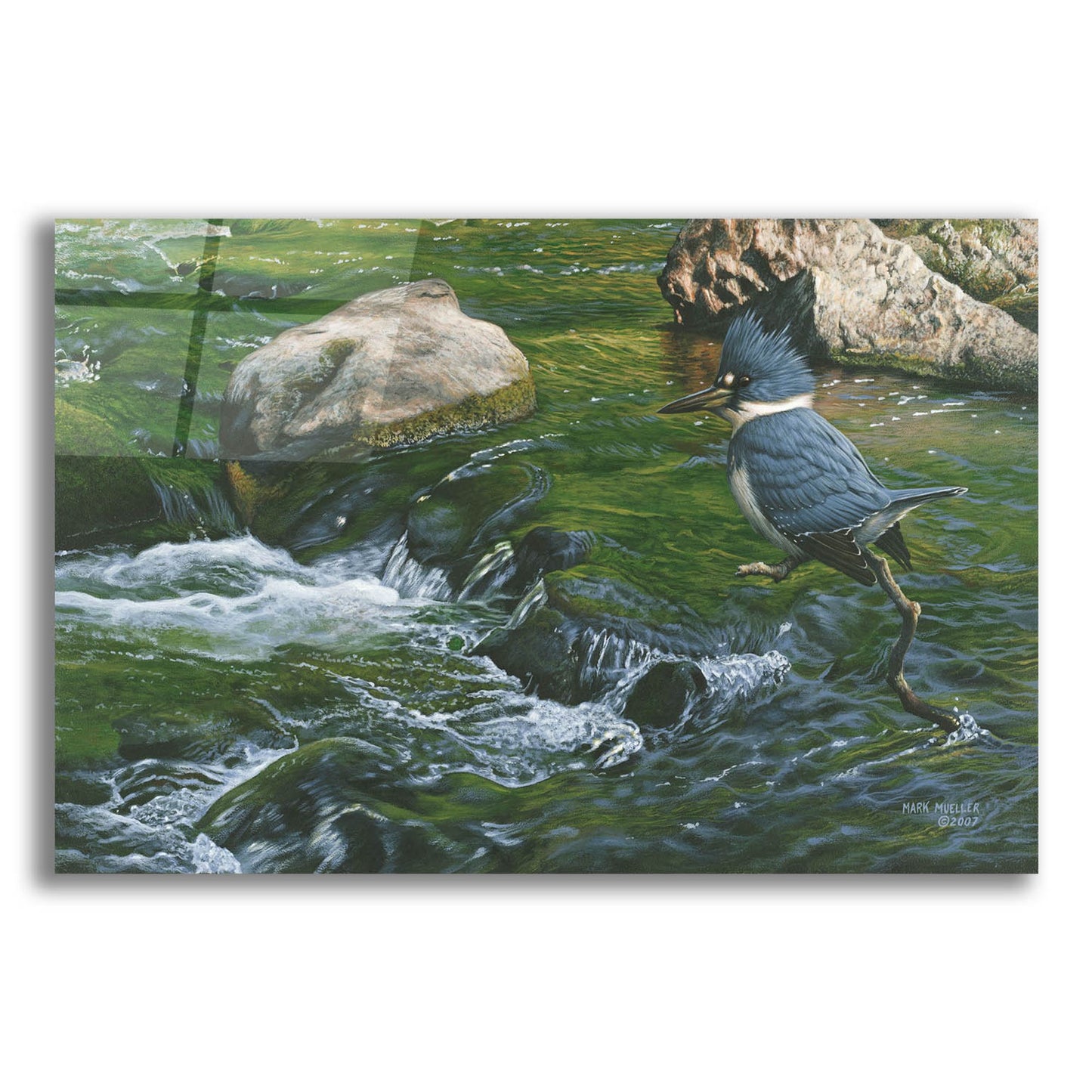 Epic Art 'Fishin' Hole - Kingfisher' by Mark Mueller Wildlife Art, Acrylic Glass Wall Art,16x12