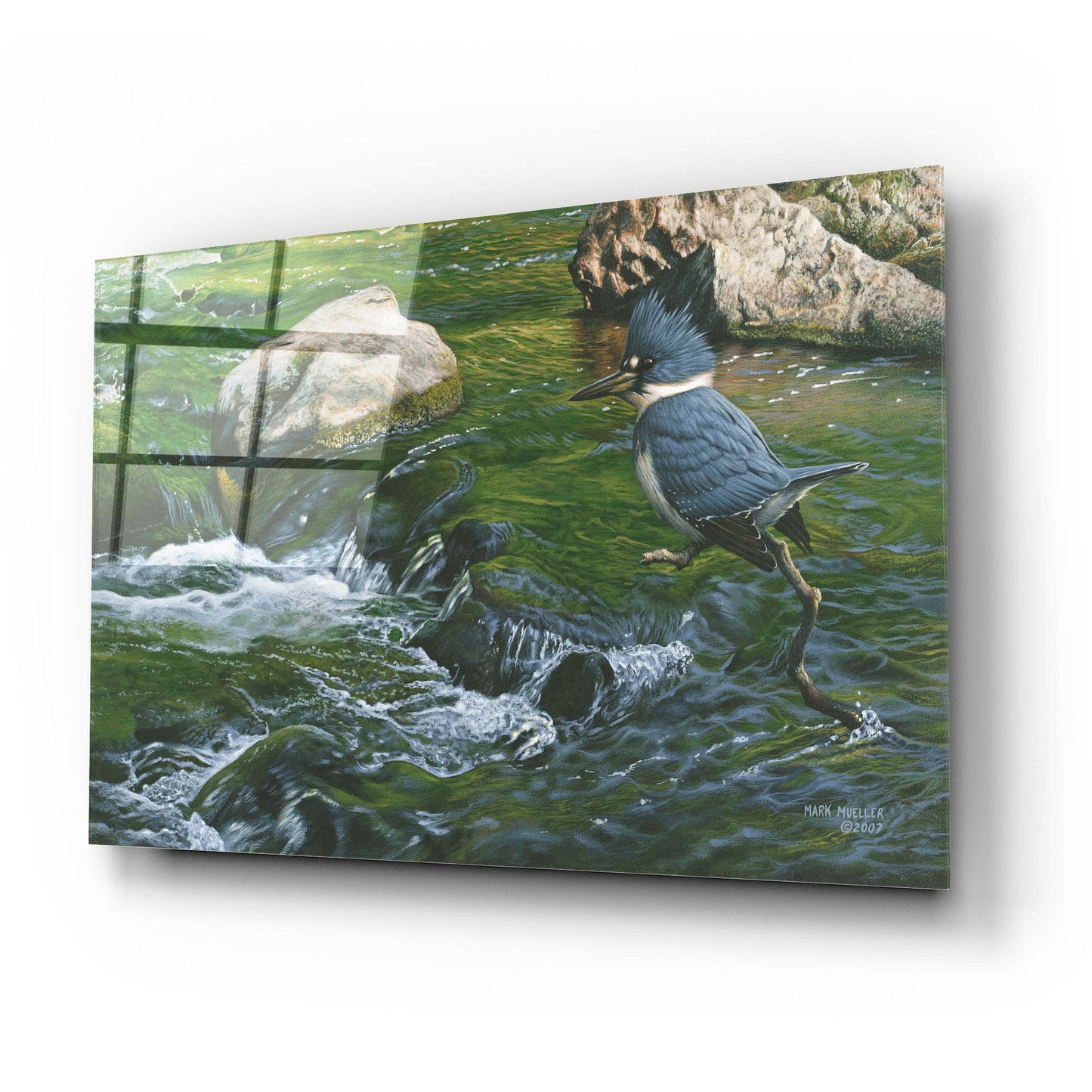 Epic Art 'Fishin' Hole - Kingfisher' by Mark Mueller Wildlife Art, Acrylic Glass Wall Art,24x16