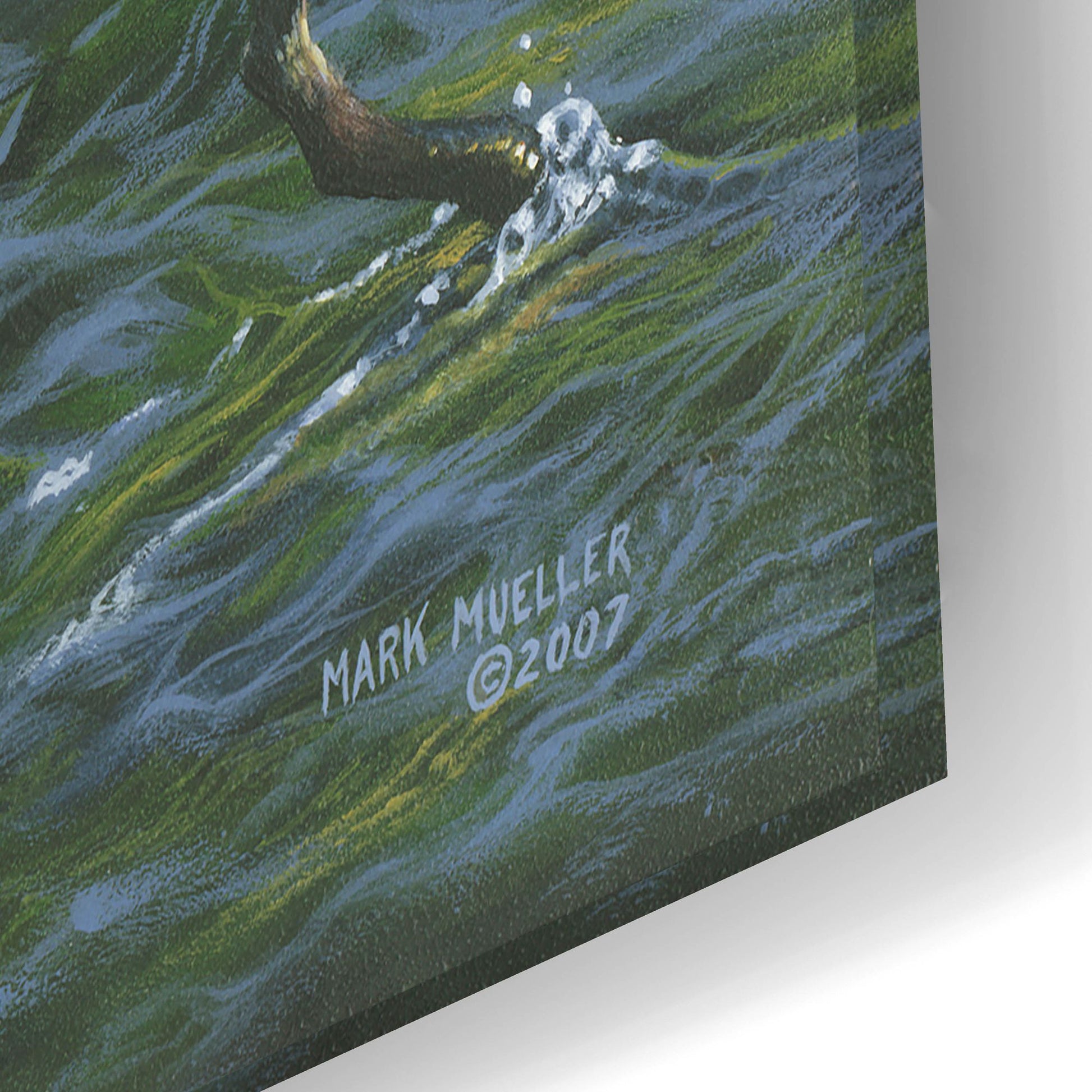 Epic Art 'Fishin' Hole - Kingfisher' by Mark Mueller Wildlife Art, Acrylic Glass Wall Art,24x16