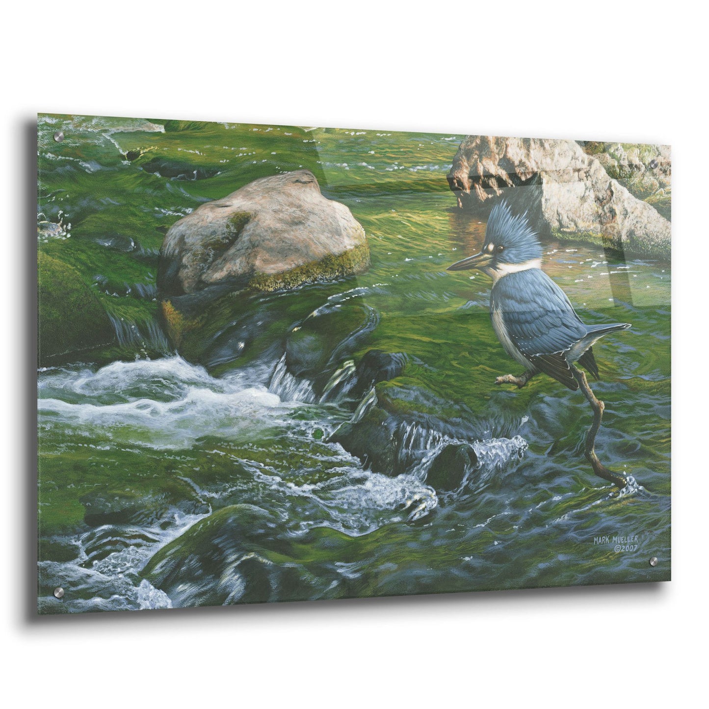 Epic Art 'Fishin' Hole - Kingfisher' by Mark Mueller Wildlife Art, Acrylic Glass Wall Art,36x24