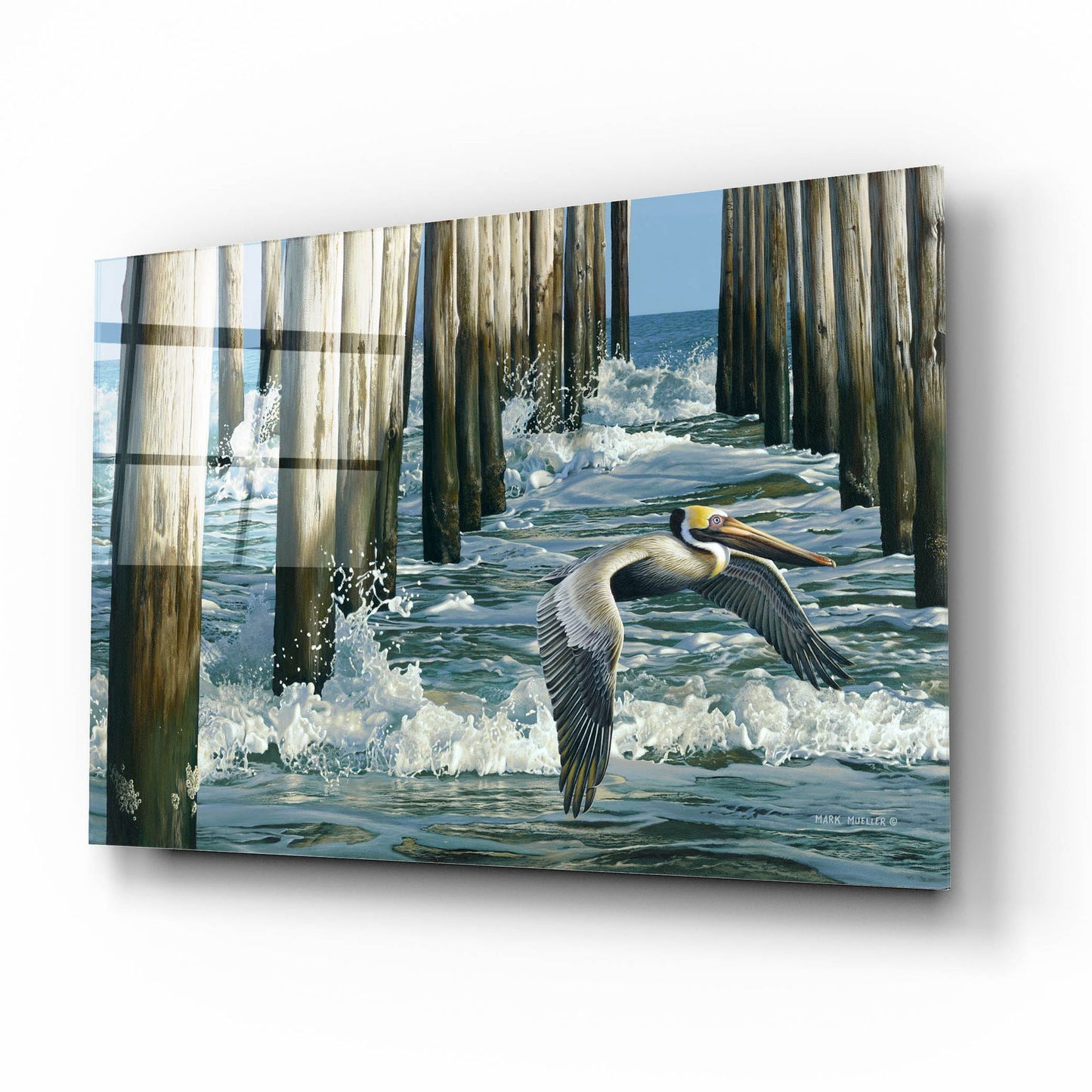 Epic Art 'Fishing Pier - Pelican' by Mark Mueller Wildlife Art, Acrylic Glass Wall Art,16x12