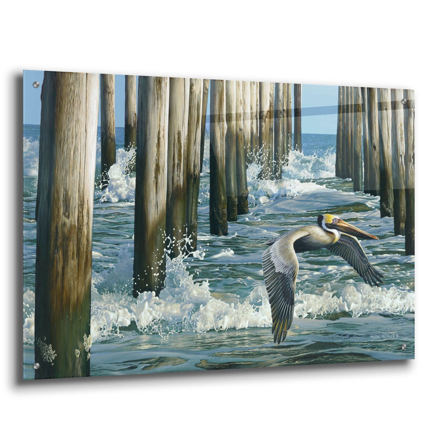 Epic Art 'Fishing Pier - Pelican' by Mark Mueller Wildlife Art, Acrylic Glass Wall Art,36x24