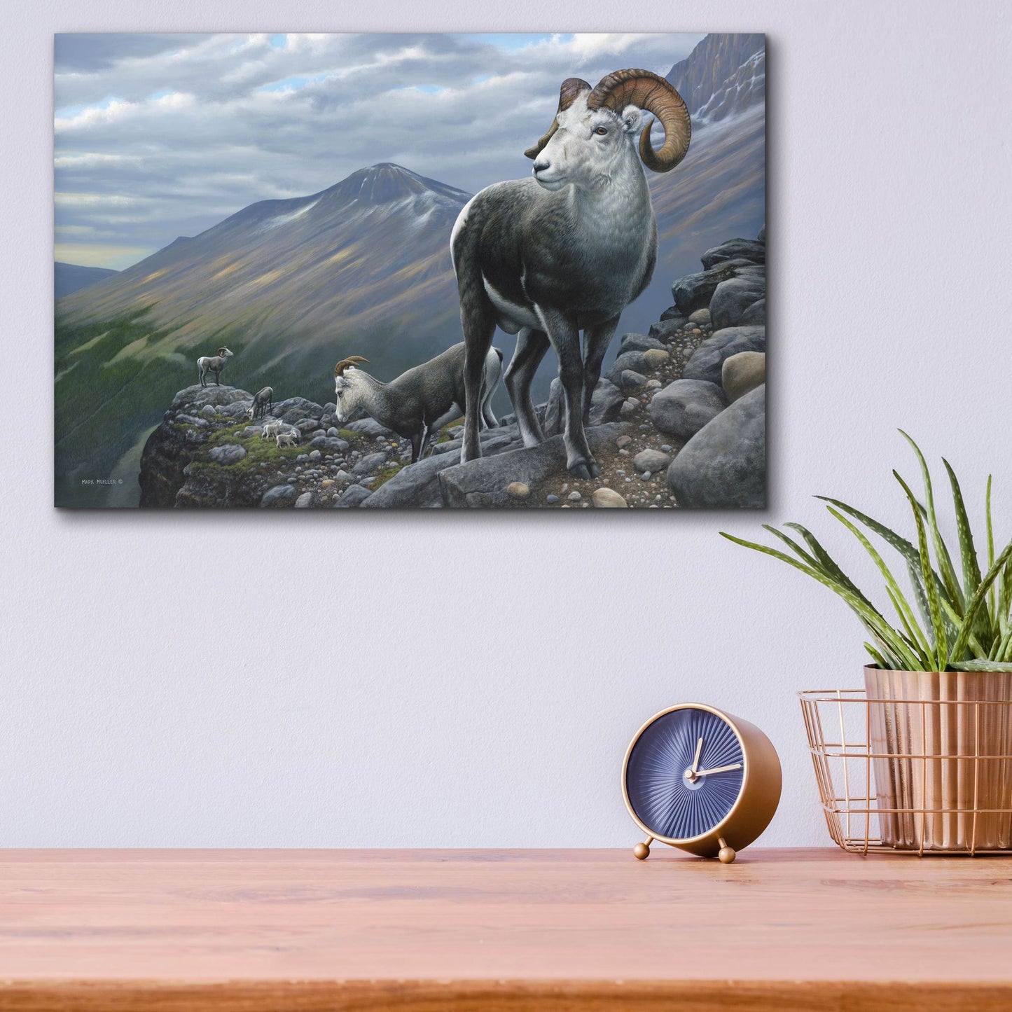 Epic Art 'Generations - Stone Sheep' by Mark Mueller Wildlife Art, Acrylic Glass Wall Art,16x12