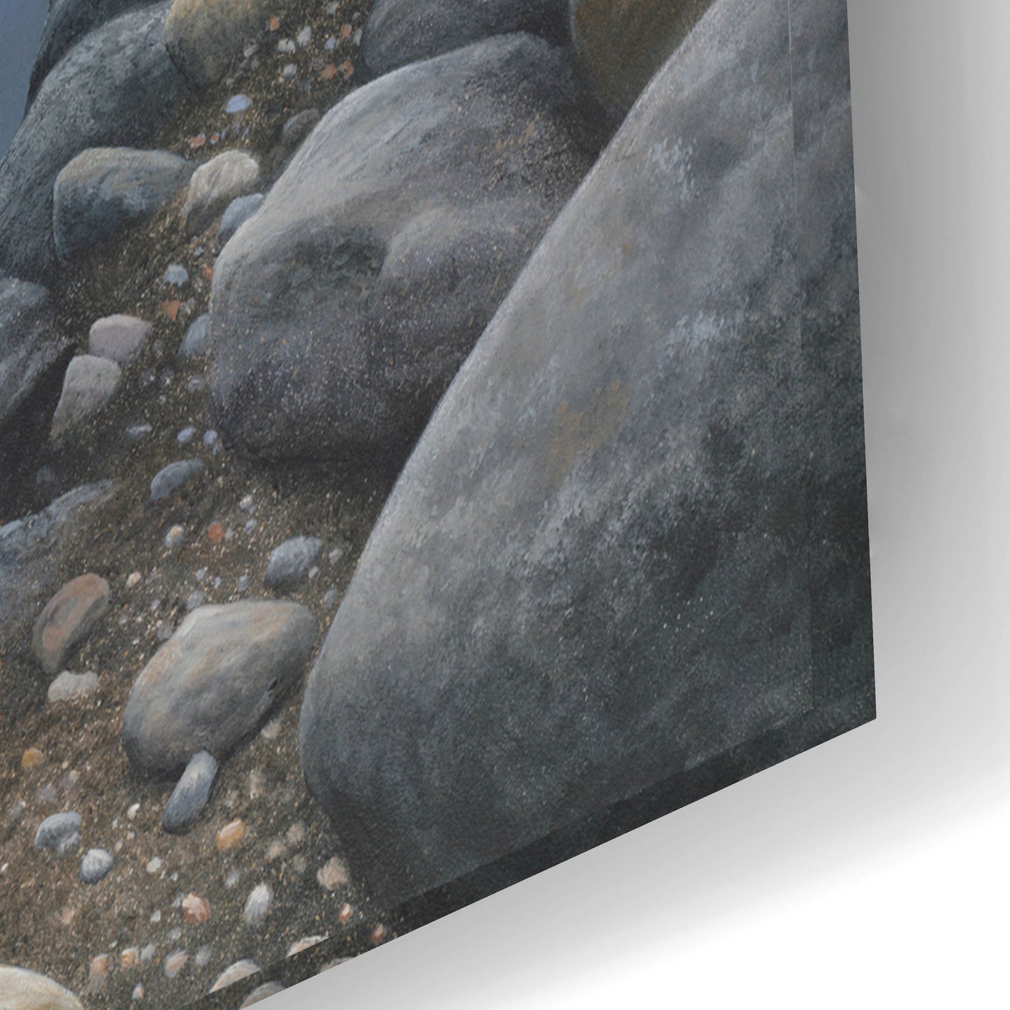 Epic Art 'Generations - Stone Sheep' by Mark Mueller Wildlife Art, Acrylic Glass Wall Art,24x16