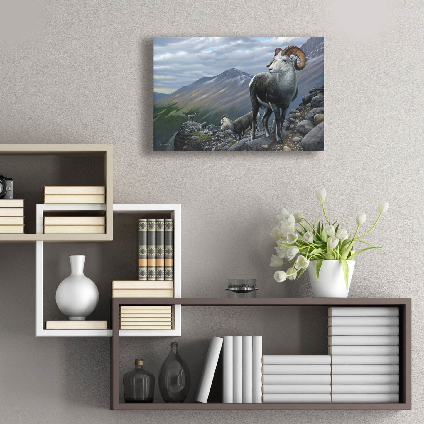 Epic Art 'Generations - Stone Sheep' by Mark Mueller Wildlife Art, Acrylic Glass Wall Art,24x16