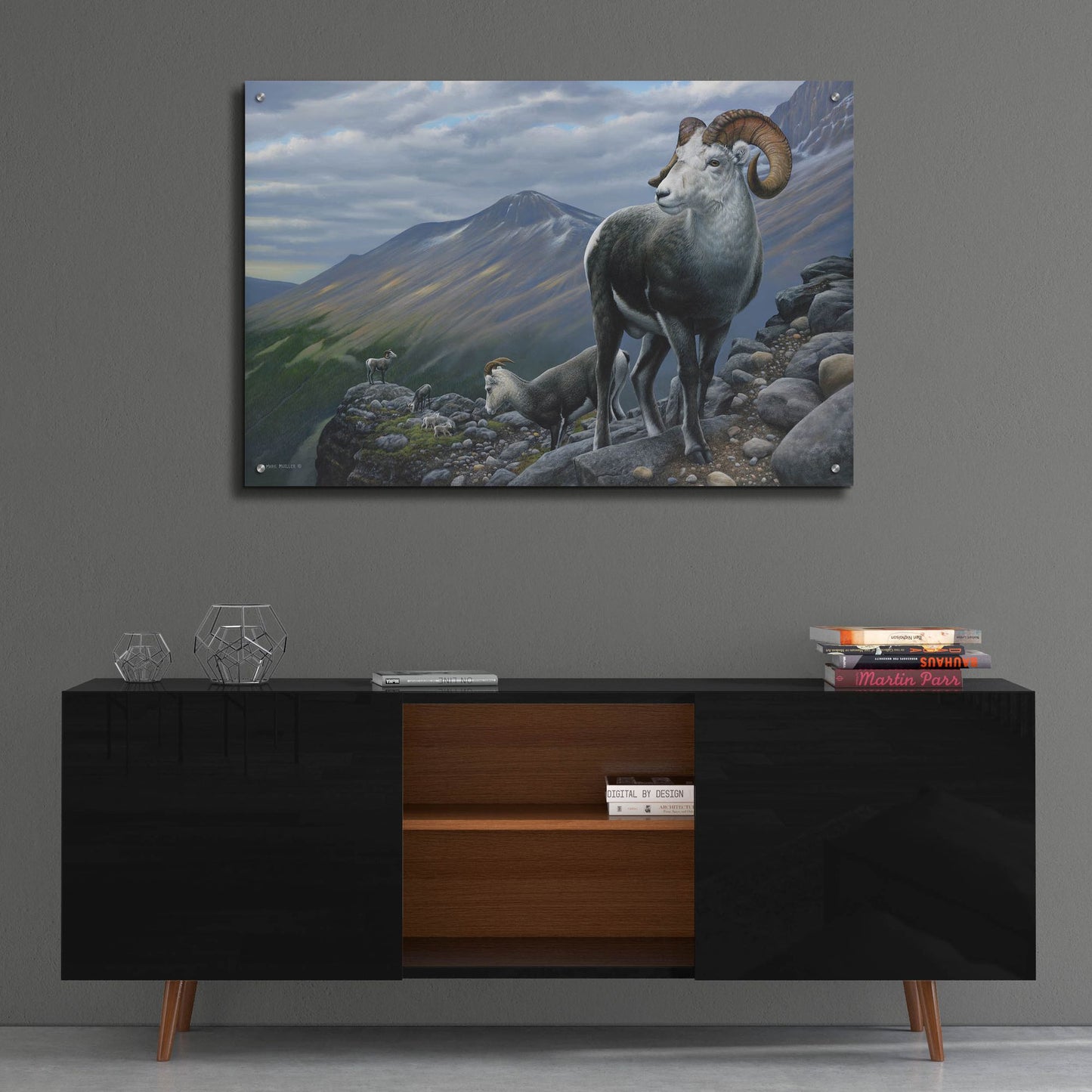 Epic Art 'Generations - Stone Sheep' by Mark Mueller Wildlife Art, Acrylic Glass Wall Art,36x24