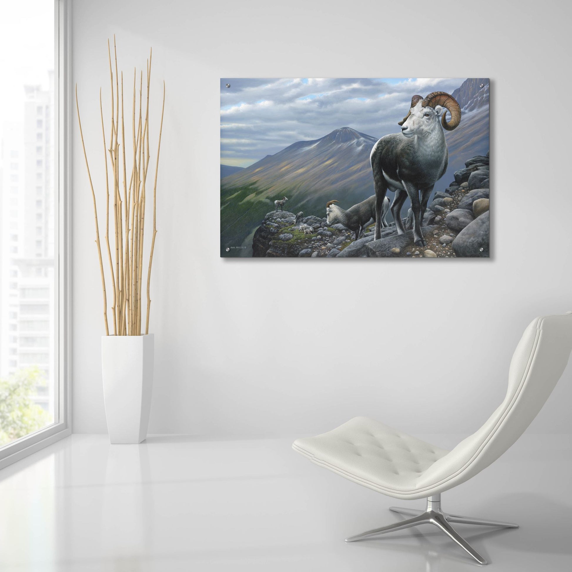 Epic Art 'Generations - Stone Sheep' by Mark Mueller Wildlife Art, Acrylic Glass Wall Art,36x24