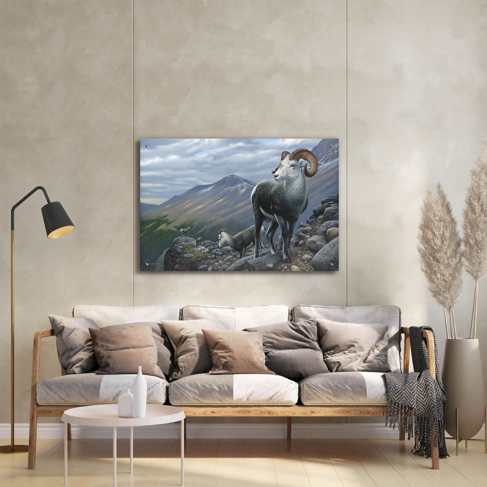 Epic Art 'Generations - Stone Sheep' by Mark Mueller Wildlife Art, Acrylic Glass Wall Art,36x24