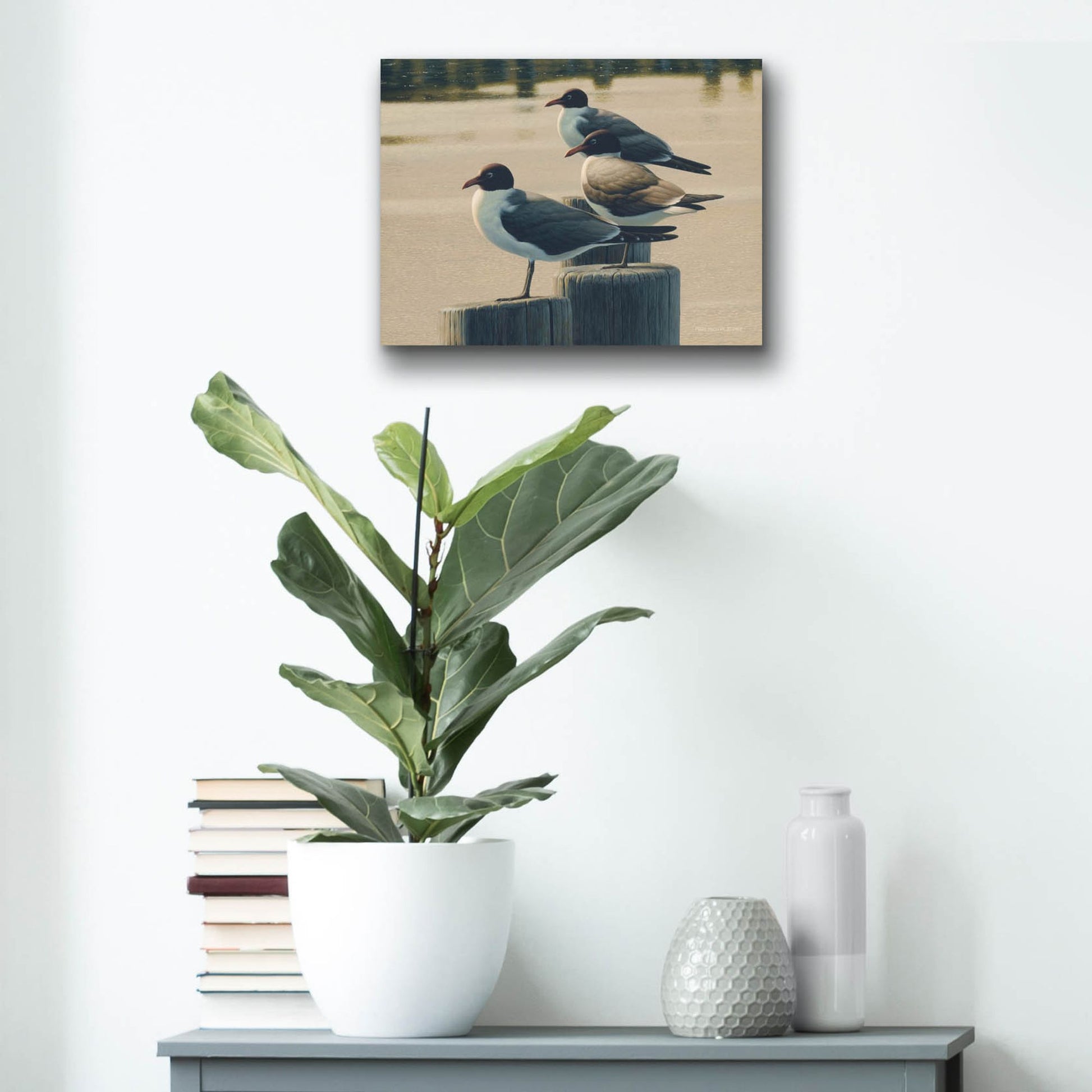 Epic Art 'Hazy Hot and Humid - Laughing Gulls' by Mark Mueller Wildlife Art, Acrylic Glass Wall Art,16x12