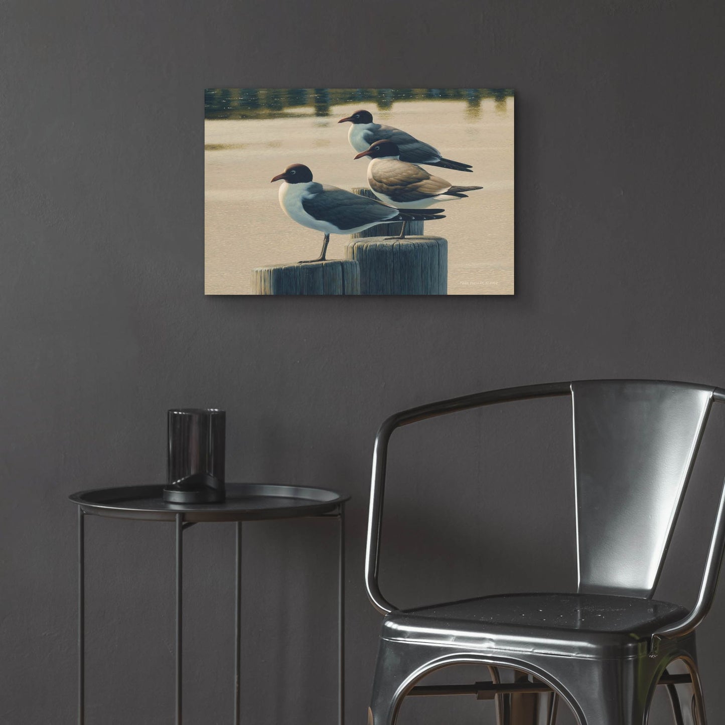 Epic Art 'Hazy Hot and Humid - Laughing Gulls' by Mark Mueller Wildlife Art, Acrylic Glass Wall Art,24x16