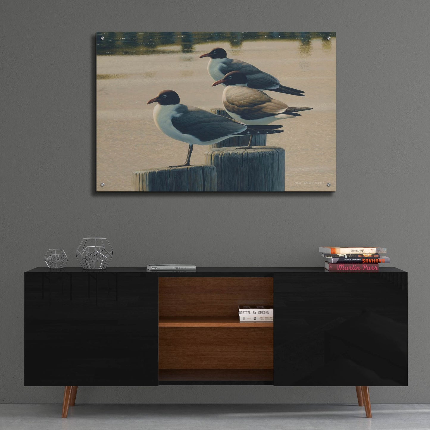 Epic Art 'Hazy Hot and Humid - Laughing Gulls' by Mark Mueller Wildlife Art, Acrylic Glass Wall Art,36x24