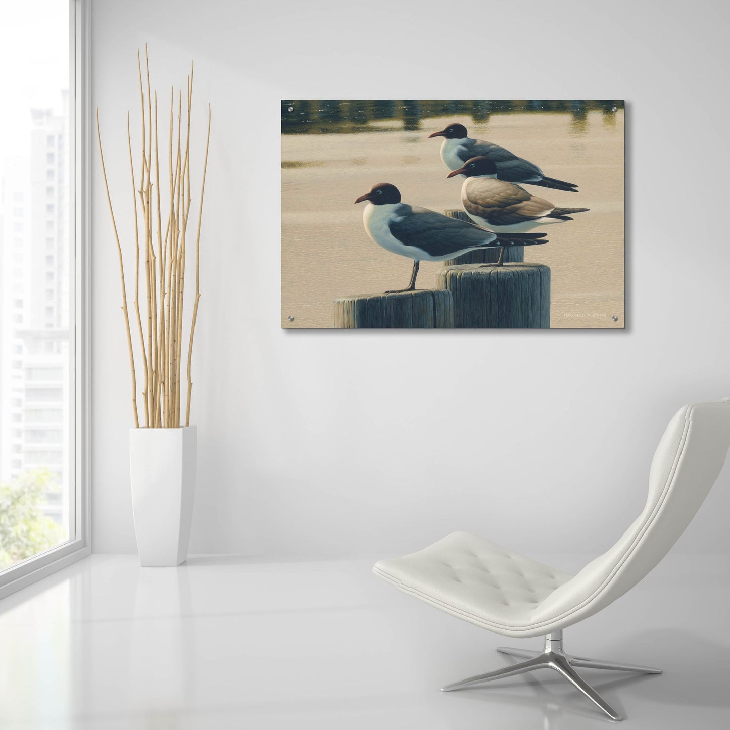 Epic Art 'Hazy Hot and Humid - Laughing Gulls' by Mark Mueller Wildlife Art, Acrylic Glass Wall Art,36x24