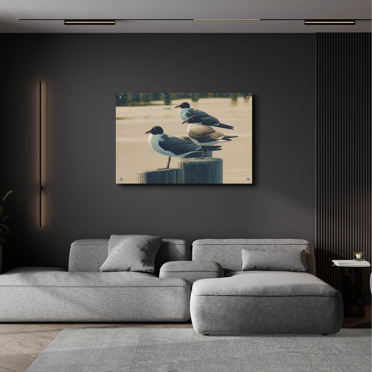 Epic Art 'Hazy Hot and Humid - Laughing Gulls' by Mark Mueller Wildlife Art, Acrylic Glass Wall Art,36x24