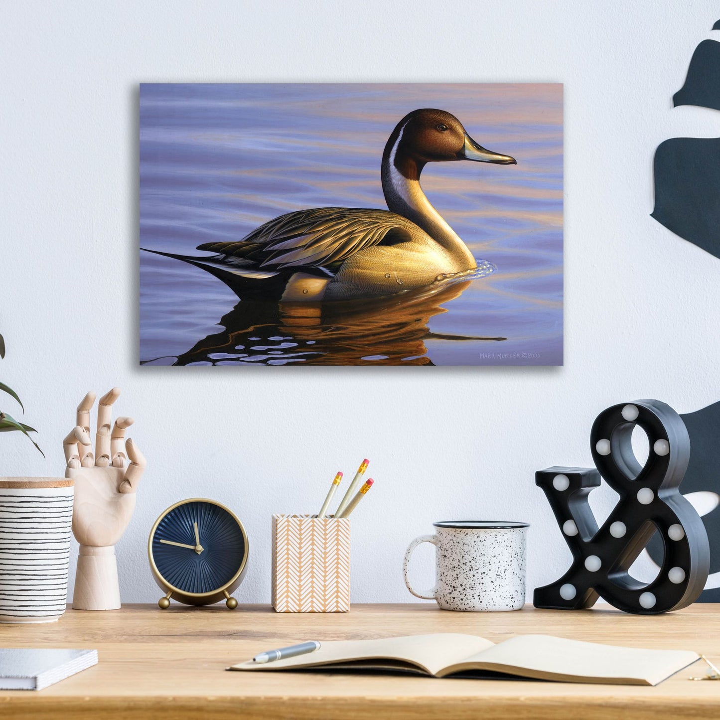 Epic Art 'Lone Pintail' by Mark Mueller Wildlife Art, Acrylic Glass Wall Art,16x12