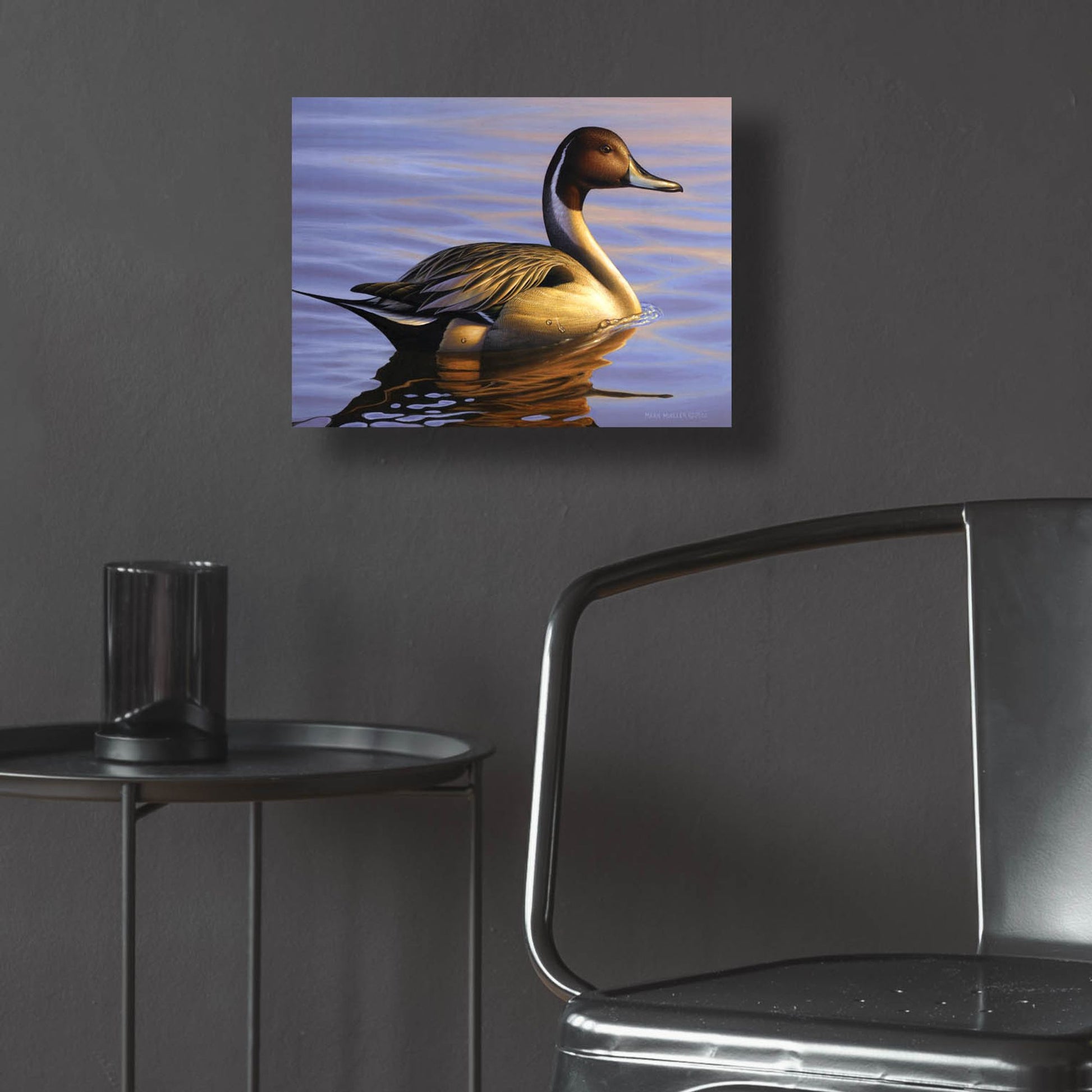 Epic Art 'Lone Pintail' by Mark Mueller Wildlife Art, Acrylic Glass Wall Art,16x12