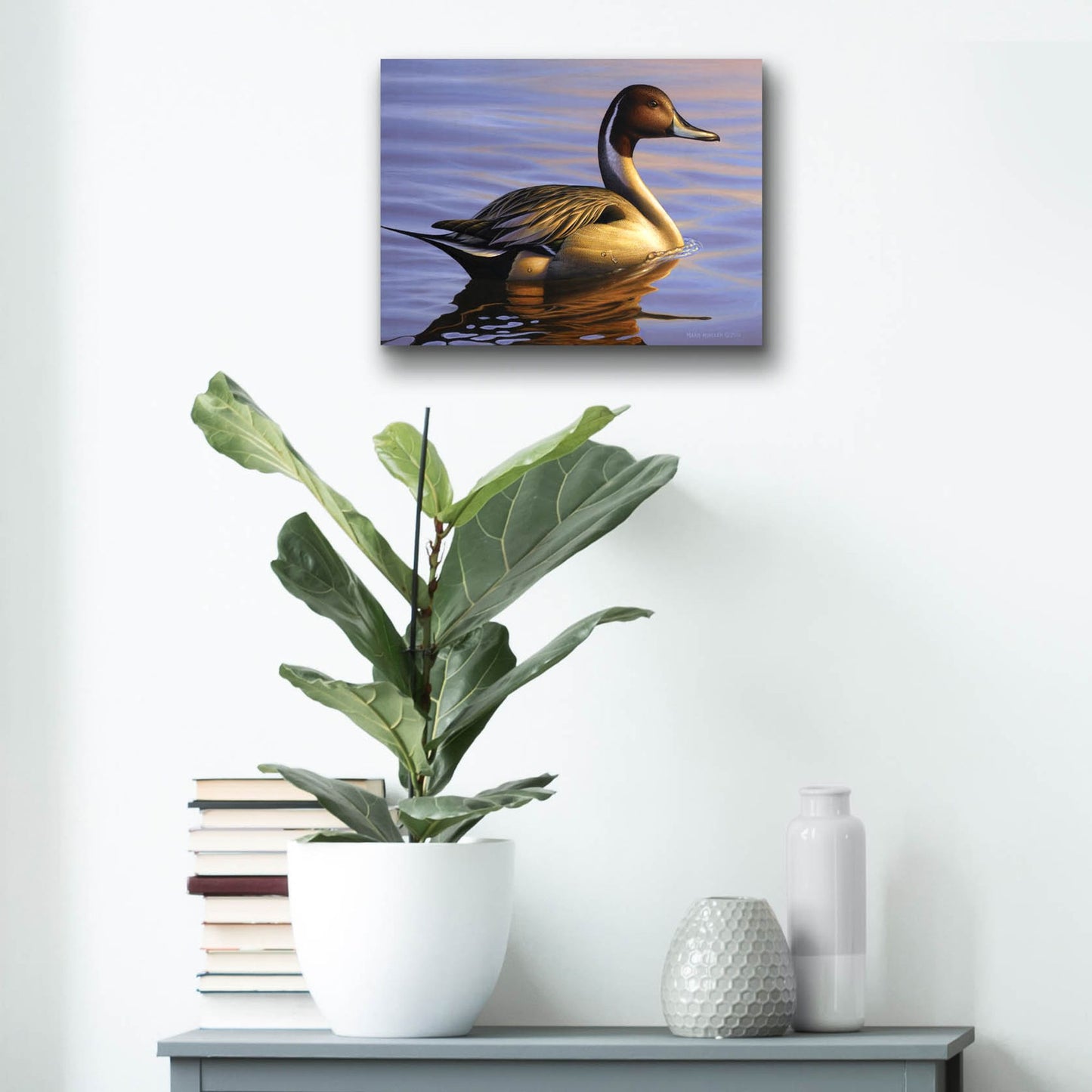 Epic Art 'Lone Pintail' by Mark Mueller Wildlife Art, Acrylic Glass Wall Art,16x12