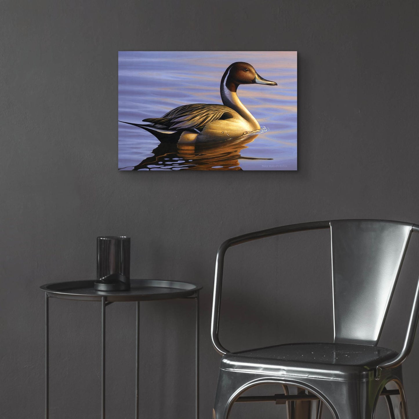 Epic Art 'Lone Pintail' by Mark Mueller Wildlife Art, Acrylic Glass Wall Art,24x16