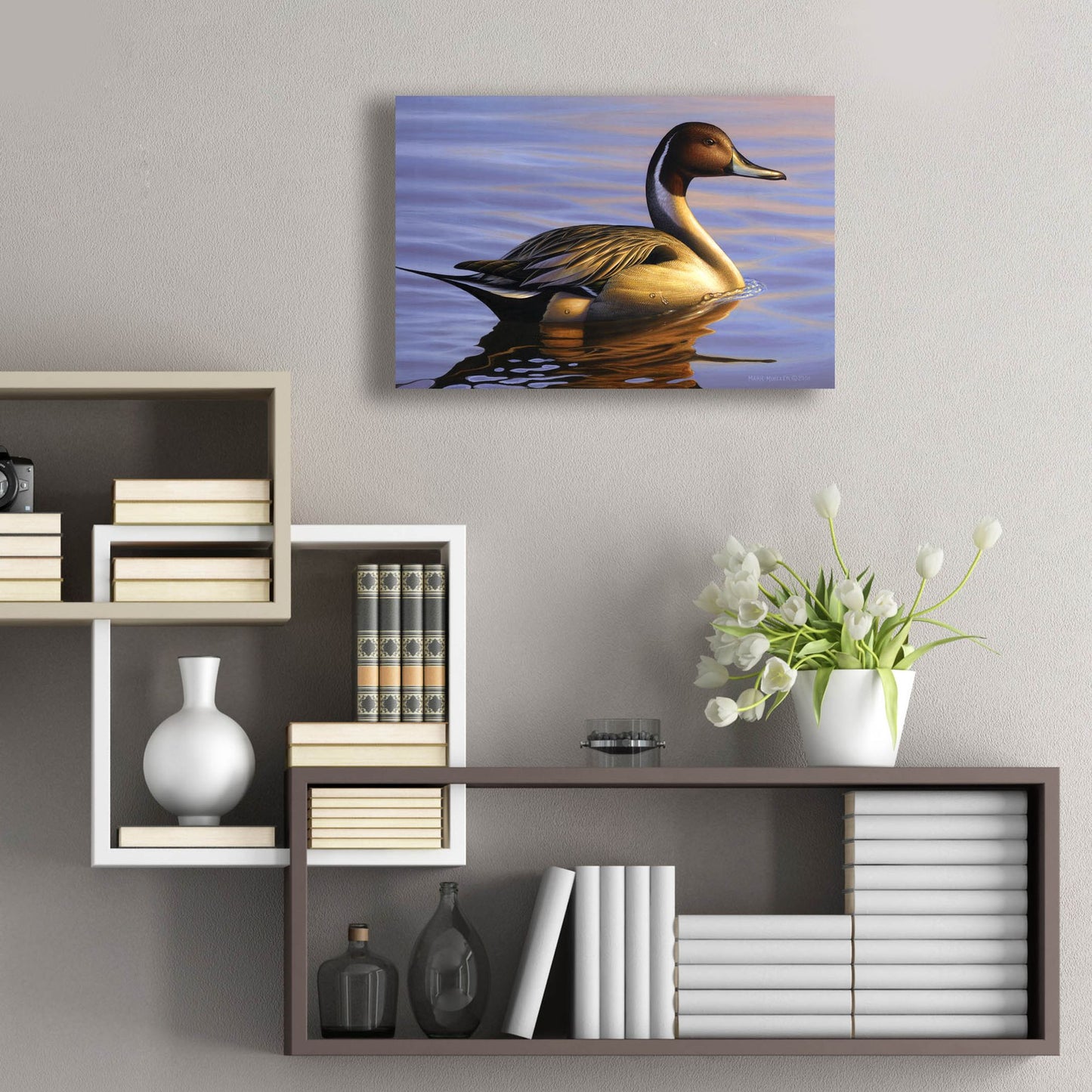 Epic Art 'Lone Pintail' by Mark Mueller Wildlife Art, Acrylic Glass Wall Art,24x16