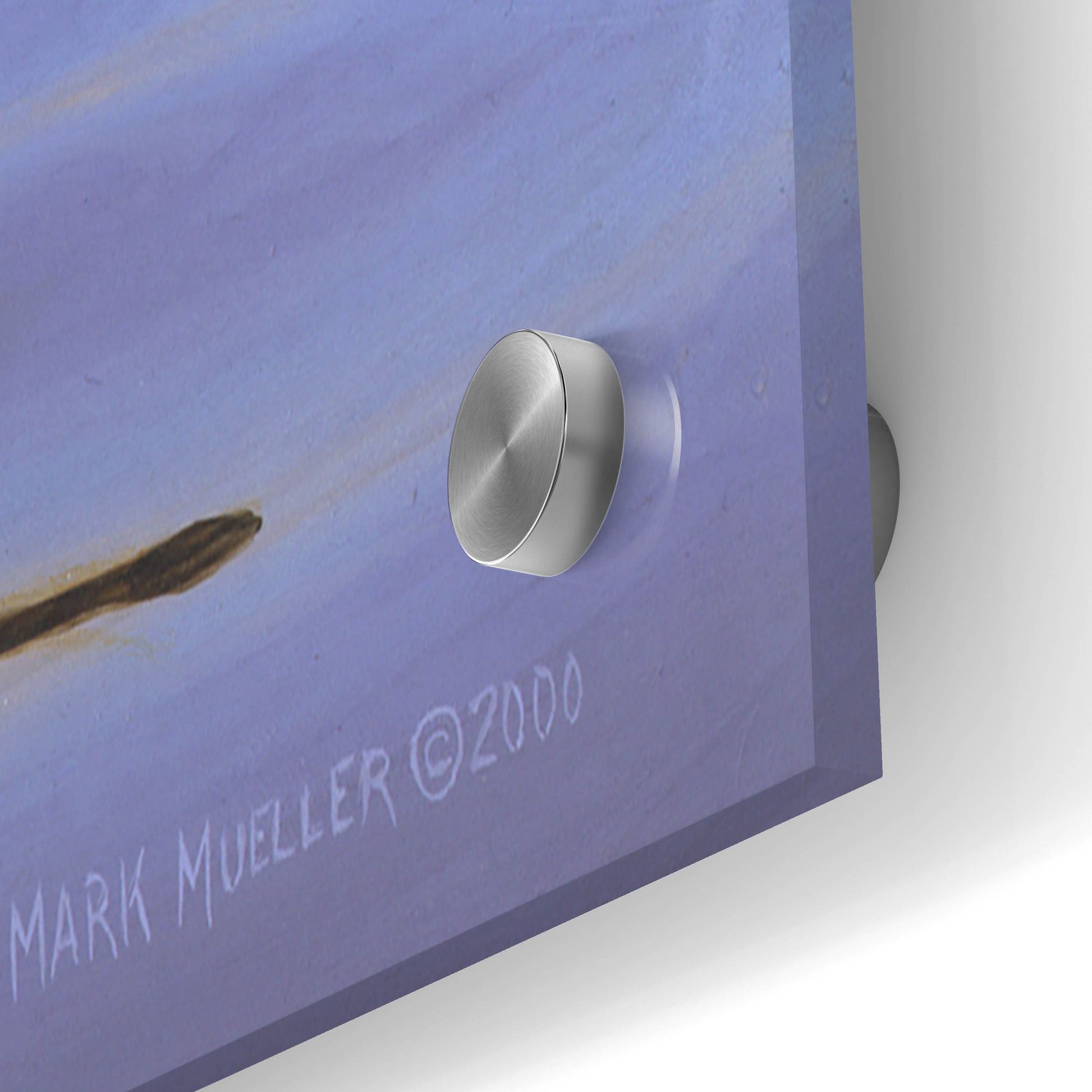 Epic Art 'Lone Pintail' by Mark Mueller Wildlife Art, Acrylic Glass Wall Art,36x24