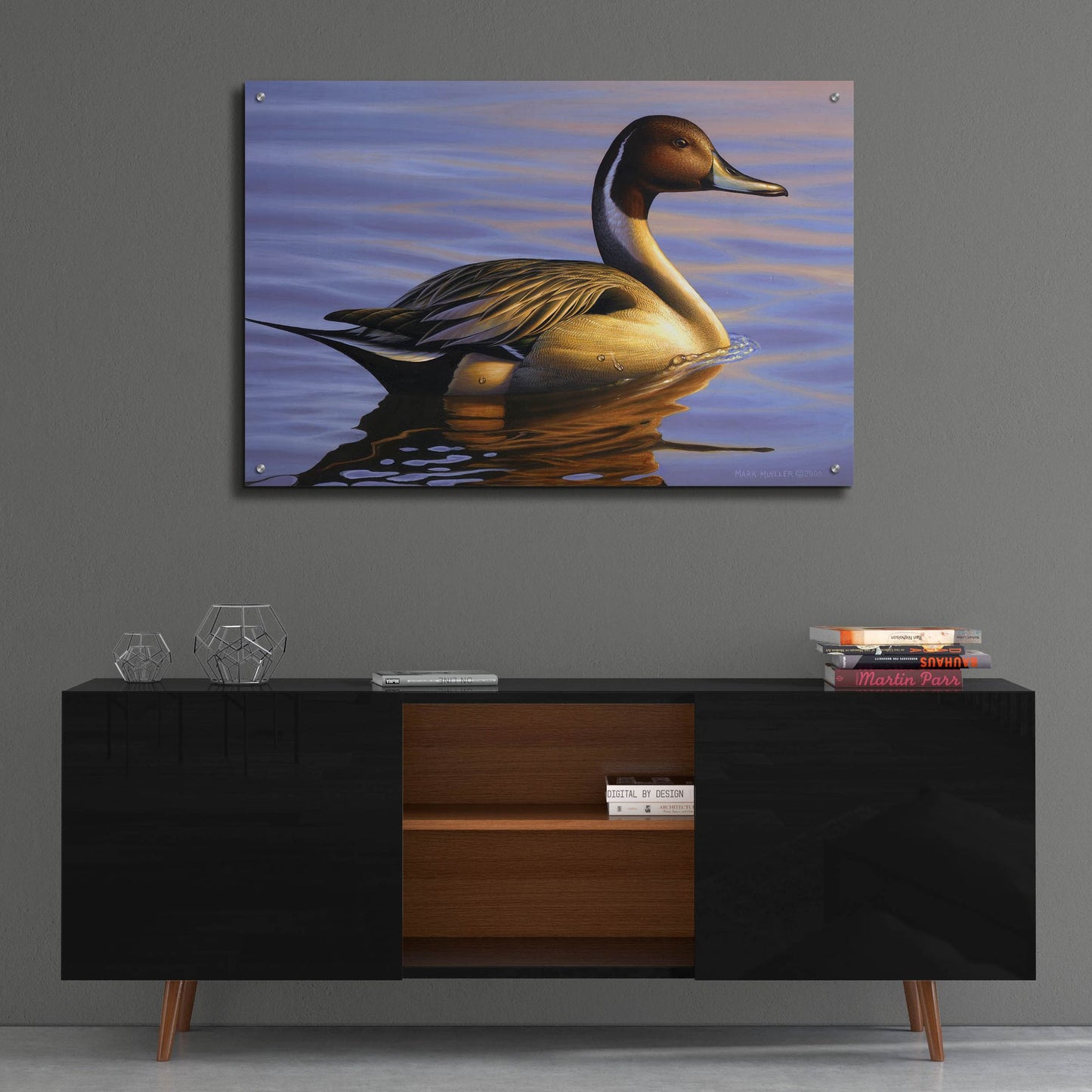 Epic Art 'Lone Pintail' by Mark Mueller Wildlife Art, Acrylic Glass Wall Art,36x24