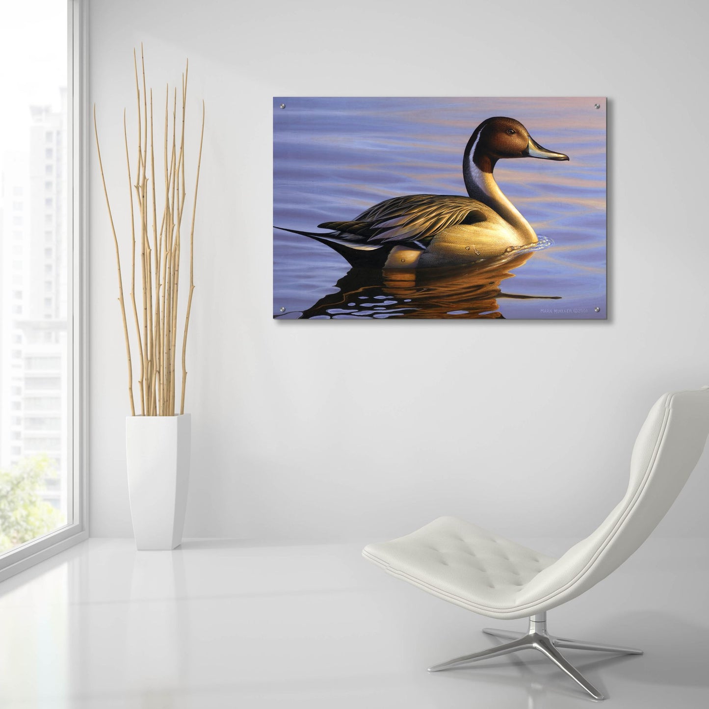 Epic Art 'Lone Pintail' by Mark Mueller Wildlife Art, Acrylic Glass Wall Art,36x24