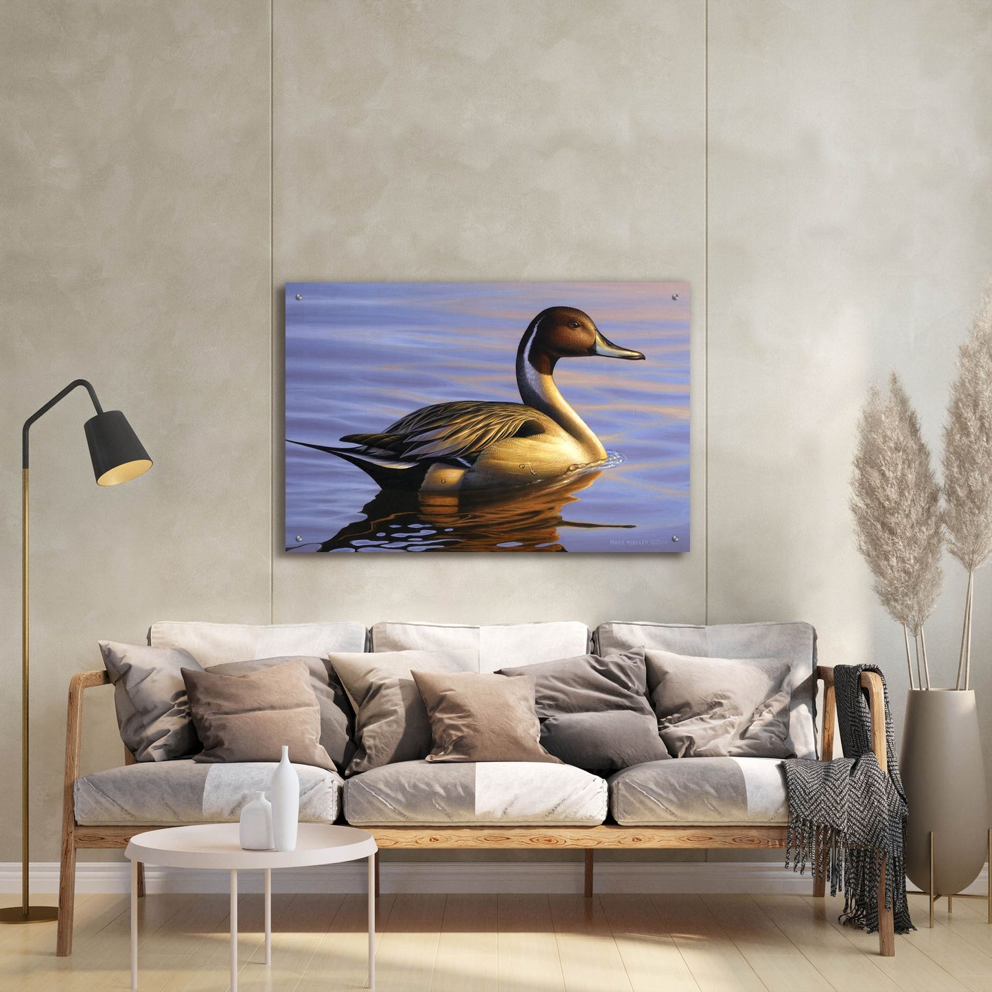 Epic Art 'Lone Pintail' by Mark Mueller Wildlife Art, Acrylic Glass Wall Art,36x24