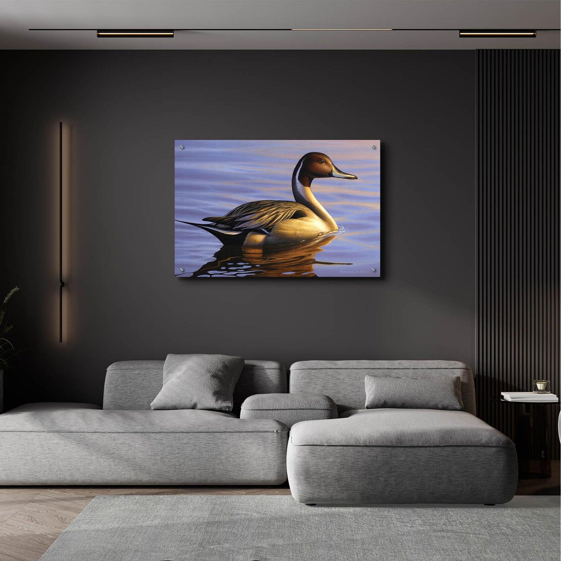 Epic Art 'Lone Pintail' by Mark Mueller Wildlife Art, Acrylic Glass Wall Art,36x24